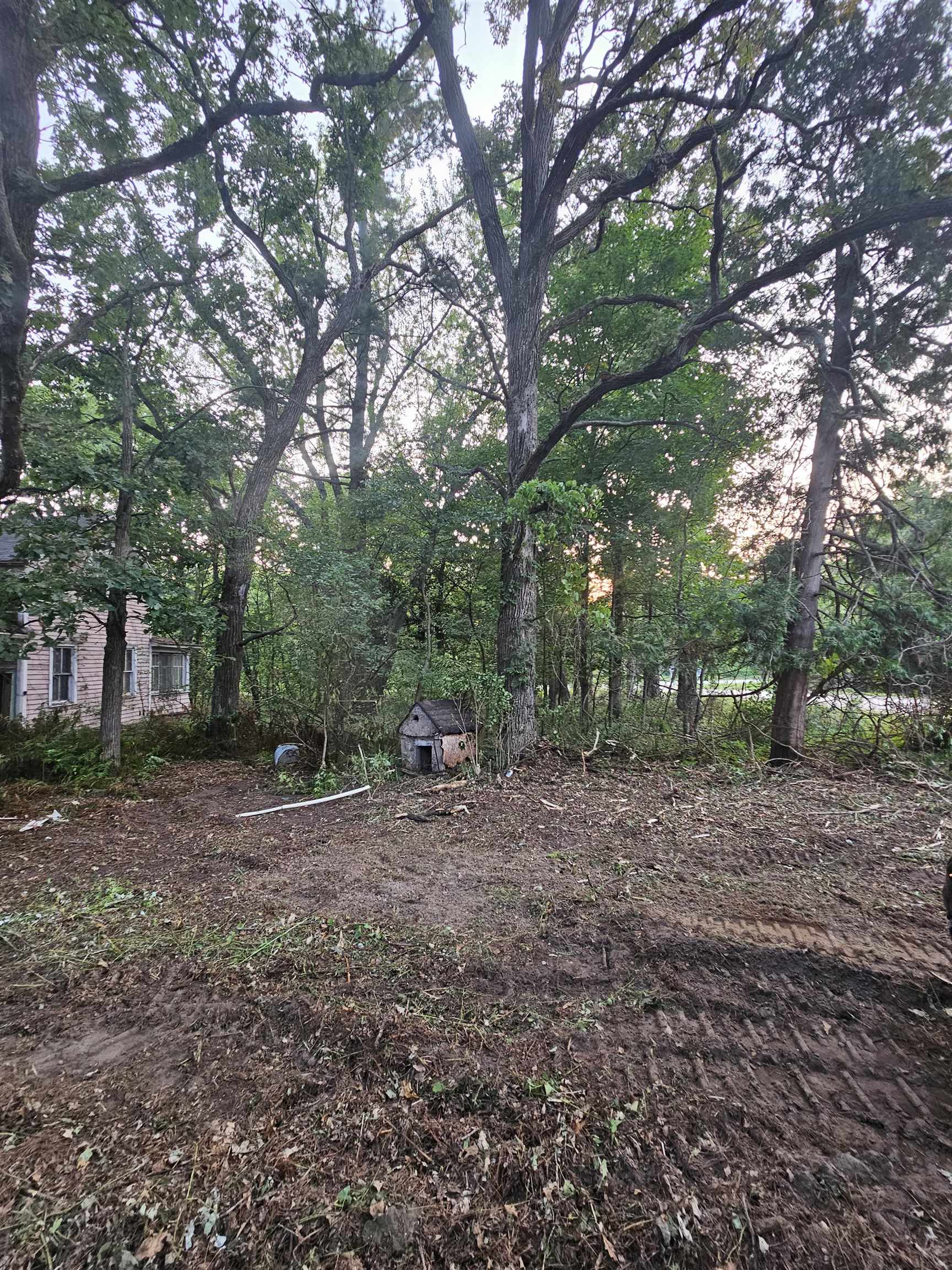 6539 COUNTY ROAD N, Bancroft, Wisconsin 54921, ,Land,For Sale,6539 COUNTY ROAD N,22603914