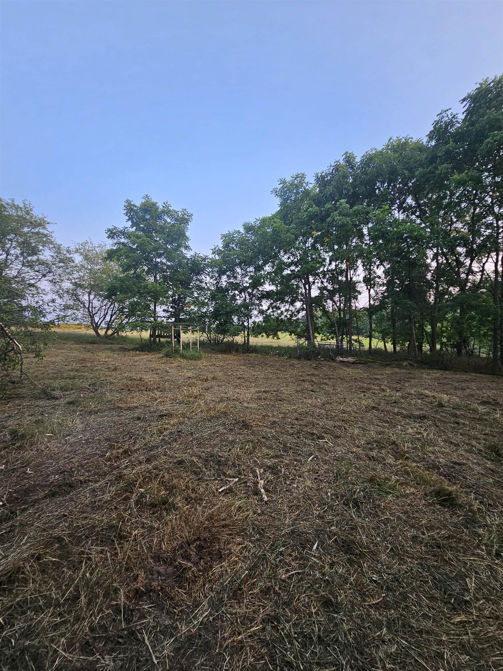 6539 COUNTY ROAD N, Bancroft, Wisconsin 54921, ,Land,For Sale,6539 COUNTY ROAD N,22603914