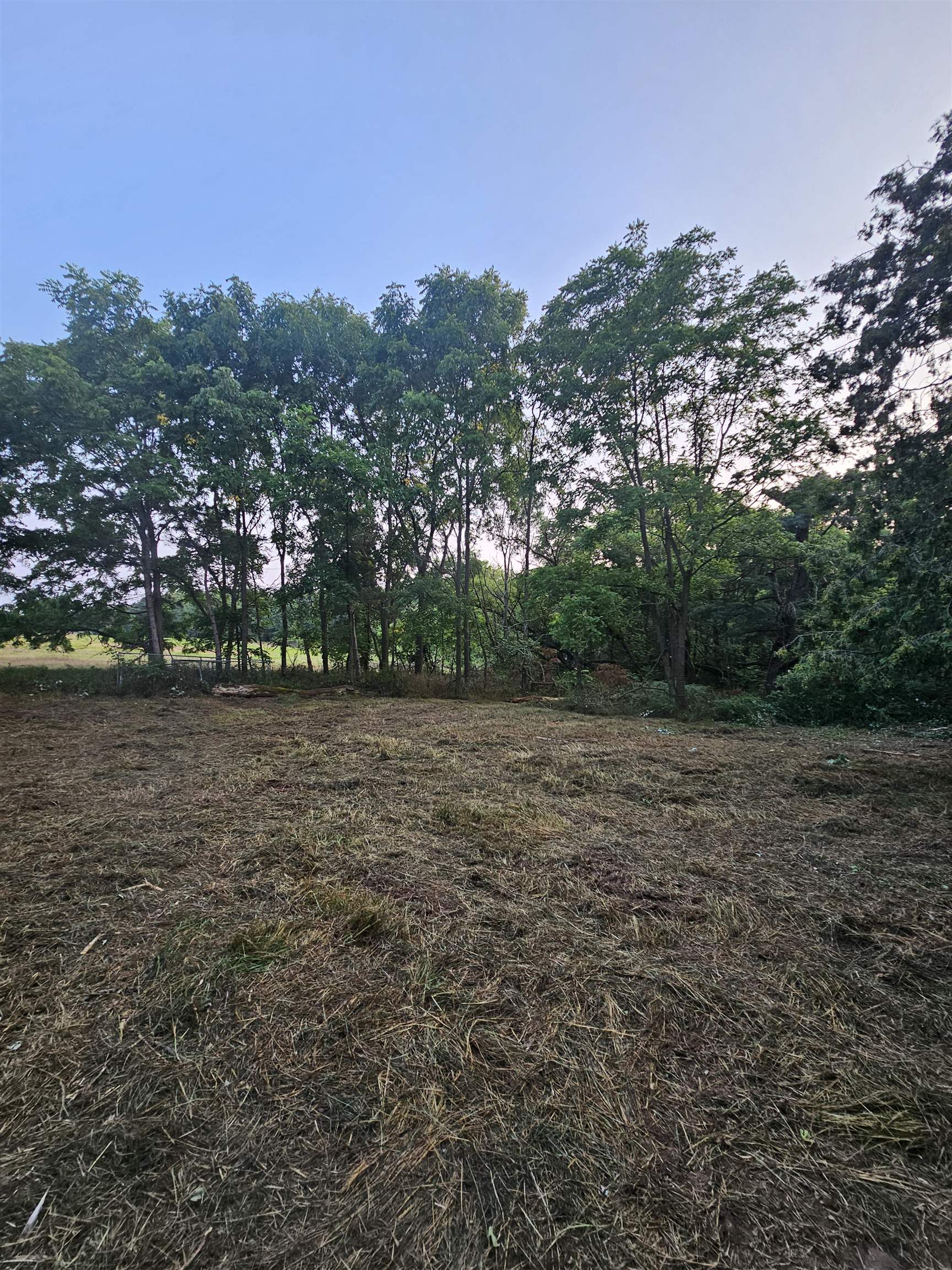 6539 COUNTY ROAD N, Bancroft, Wisconsin 54921, ,Land,For Sale,6539 COUNTY ROAD N,22603914