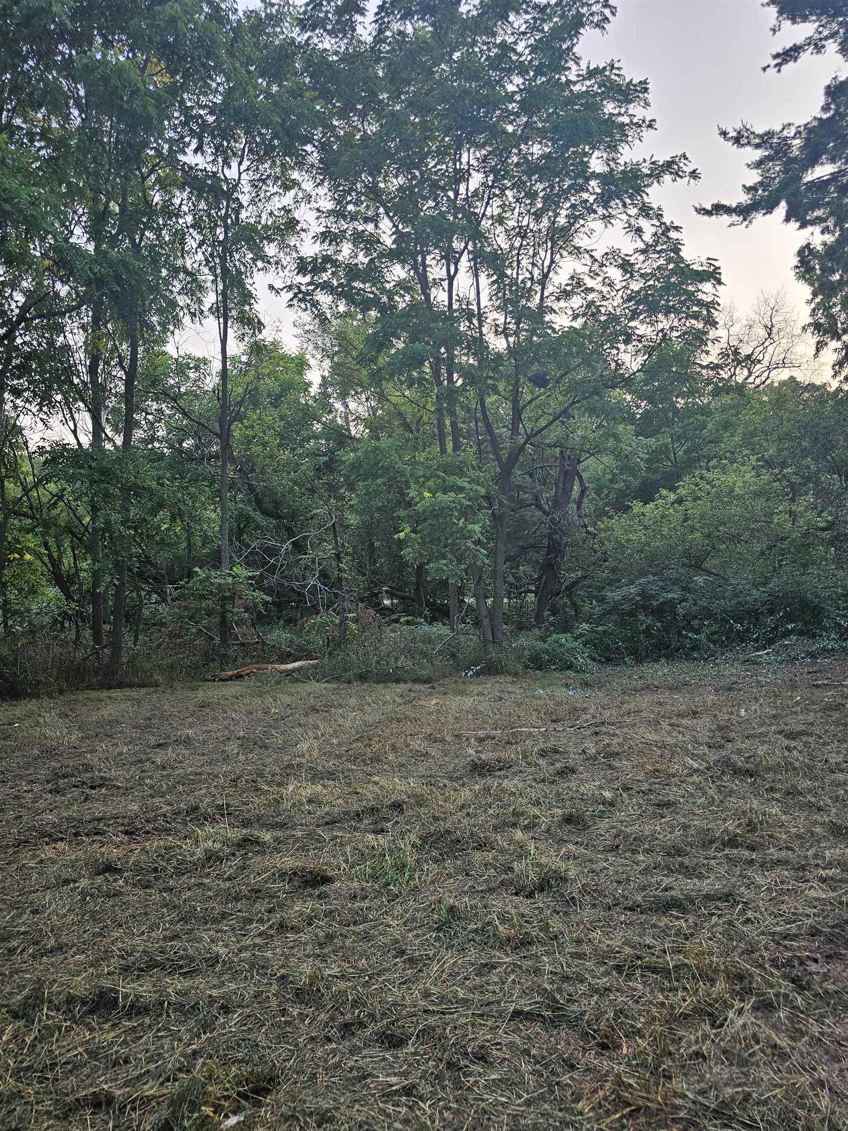 6539 COUNTY ROAD N, Bancroft, Wisconsin 54921, ,Land,For Sale,6539 COUNTY ROAD N,22603914