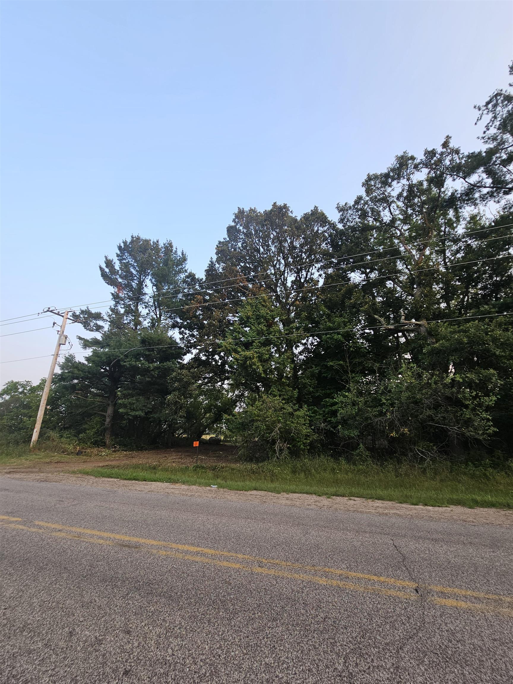 6539 COUNTY ROAD N, Bancroft, Wisconsin 54921, ,Land,For Sale,6539 COUNTY ROAD N,22603914