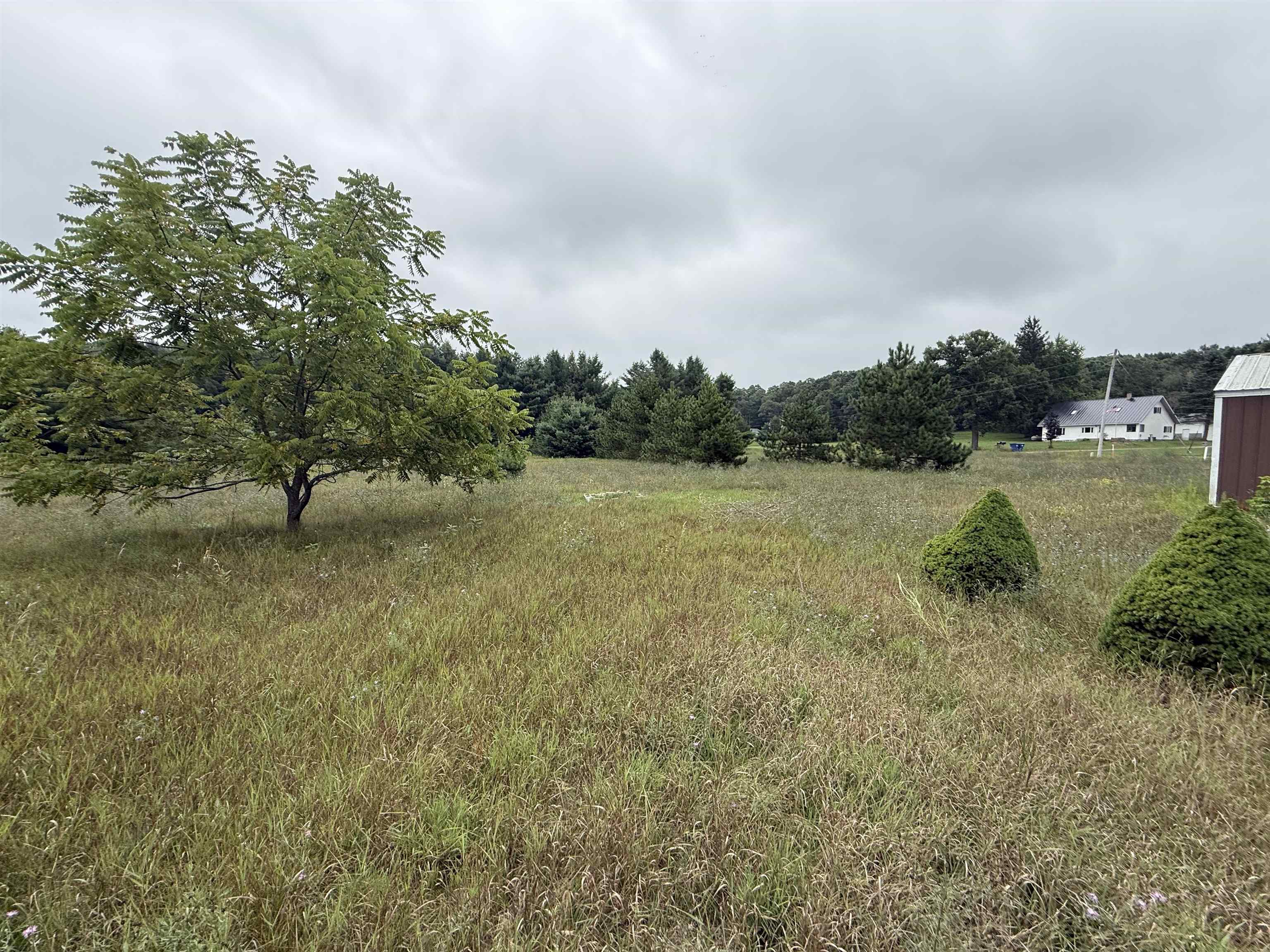 8846 COUNTY ROAD N, Almond, Wisconsin 54909, ,Land,For Sale,8846 COUNTY ROAD N,22603928