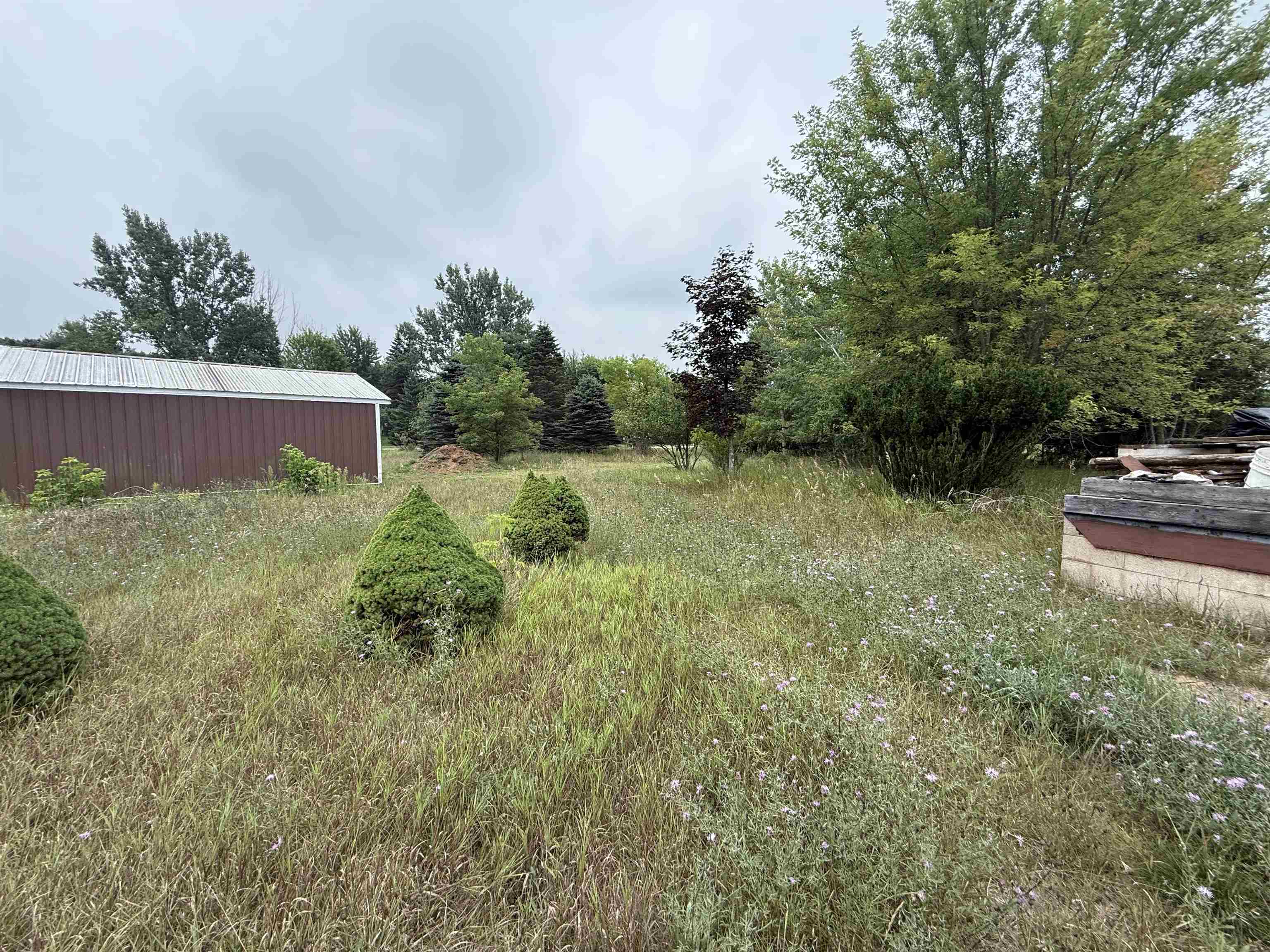 8846 COUNTY ROAD N, Almond, Wisconsin 54909, ,Land,For Sale,8846 COUNTY ROAD N,22603928