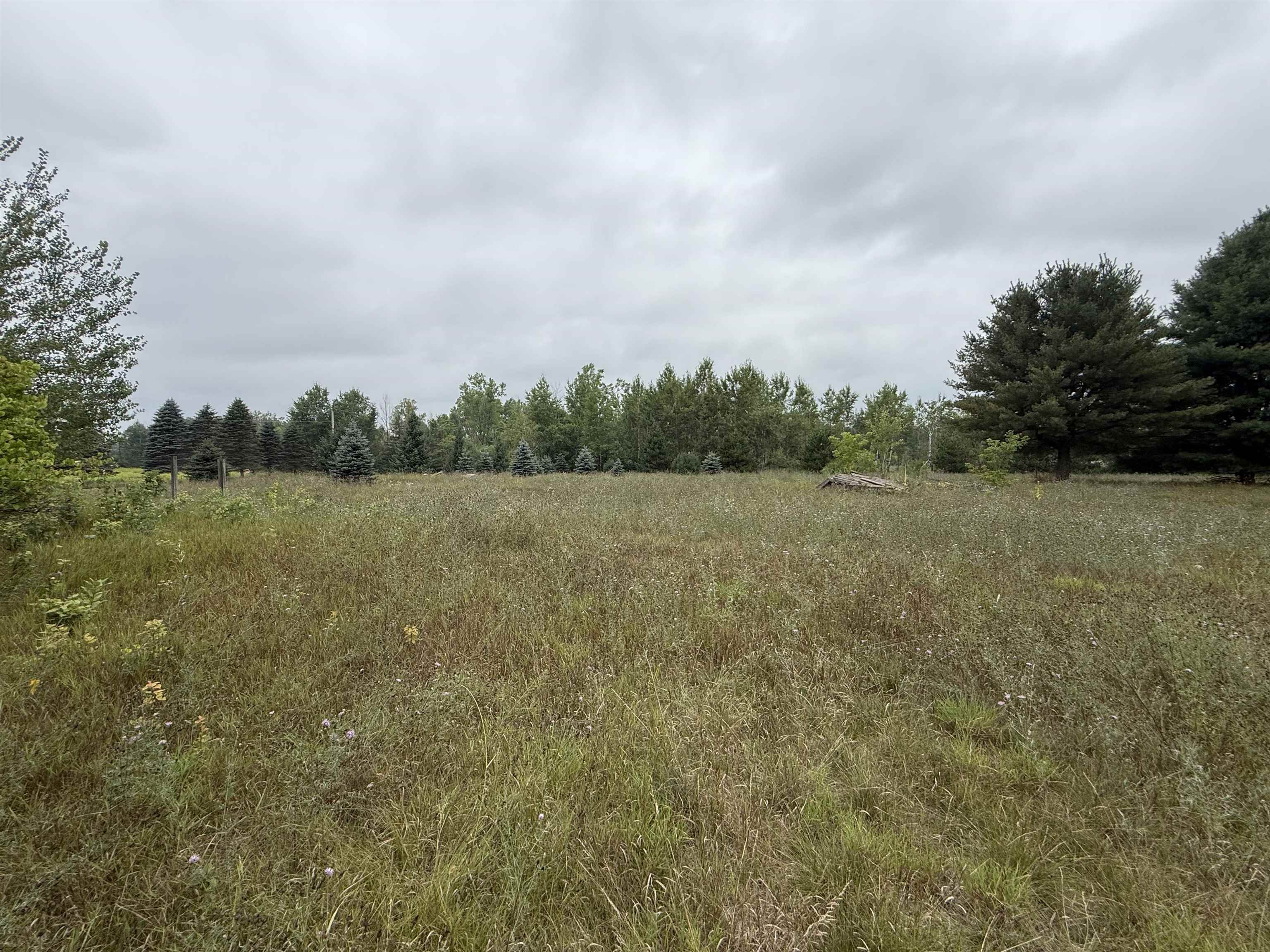8846 COUNTY ROAD N, Almond, Wisconsin 54909, ,Land,For Sale,8846 COUNTY ROAD N,22603928
