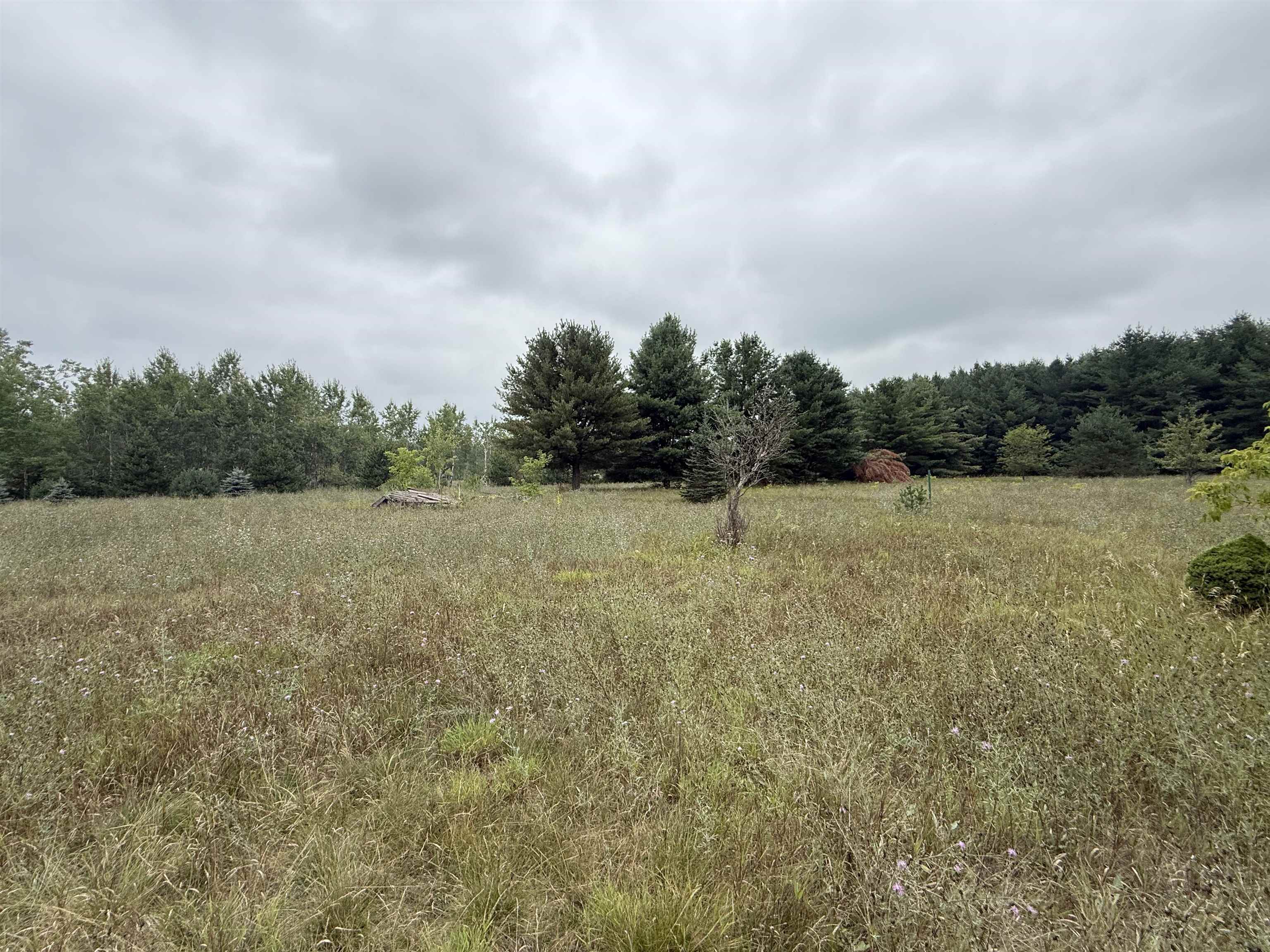 8846 COUNTY ROAD N, Almond, Wisconsin 54909, ,Land,For Sale,8846 COUNTY ROAD N,22603928