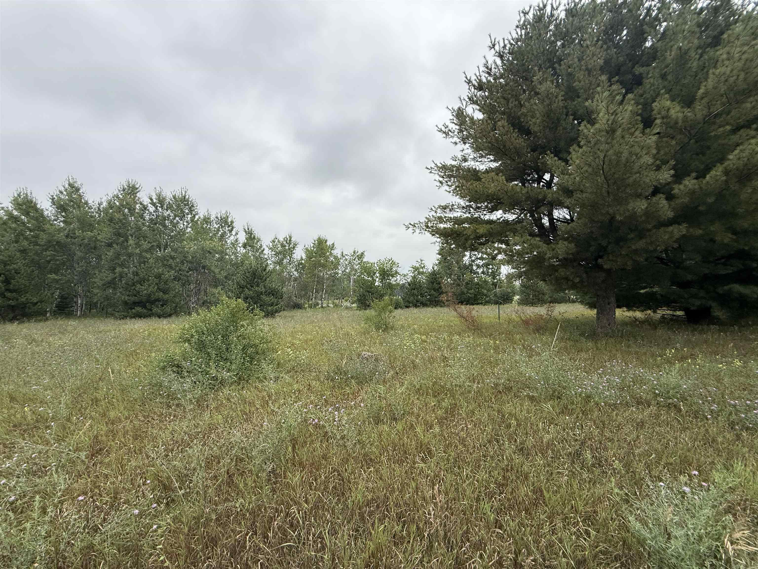 8846 COUNTY ROAD N, Almond, Wisconsin 54909, ,Land,For Sale,8846 COUNTY ROAD N,22603928