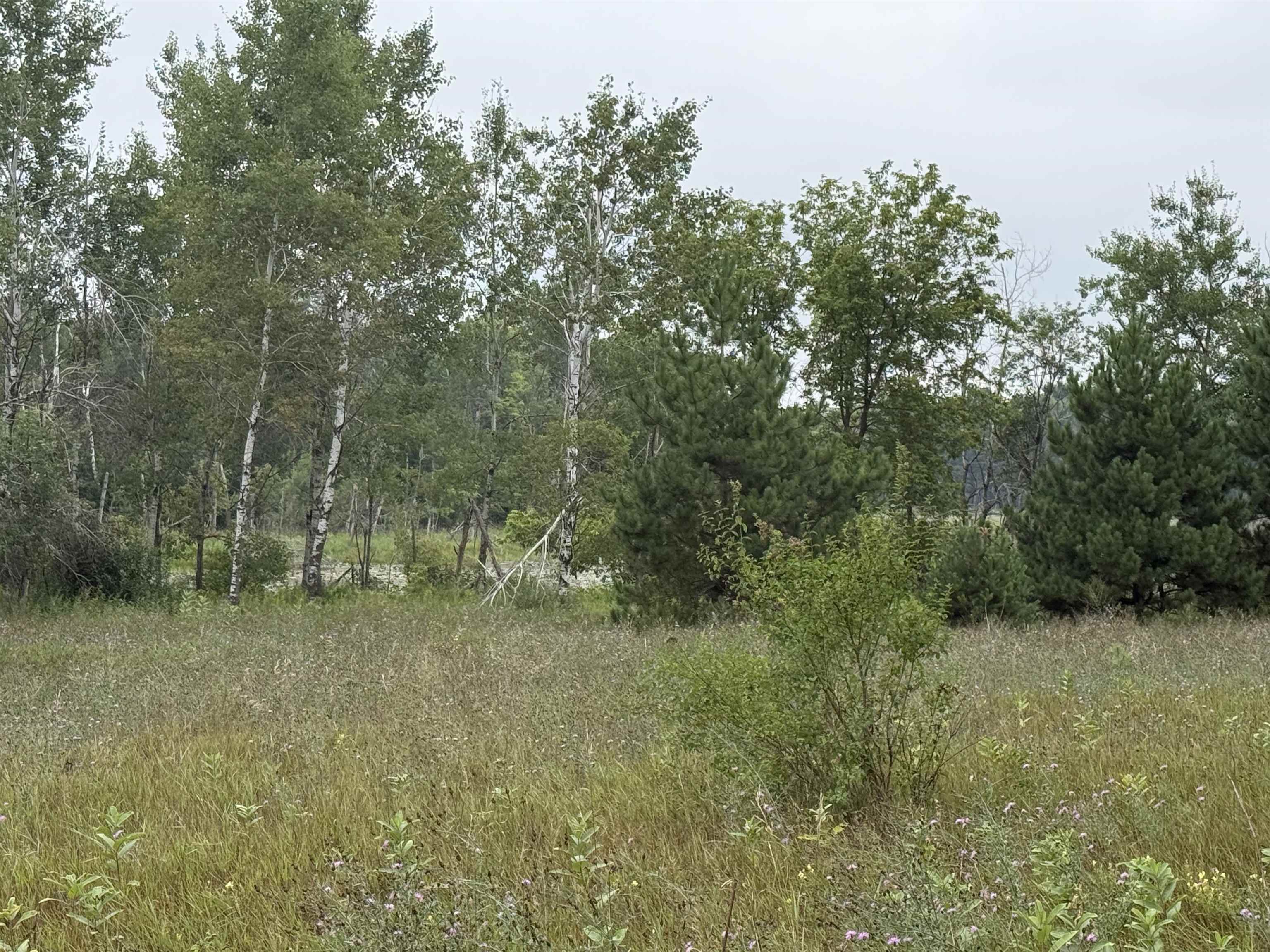 8846 COUNTY ROAD N, Almond, Wisconsin 54909, ,Land,For Sale,8846 COUNTY ROAD N,22603928