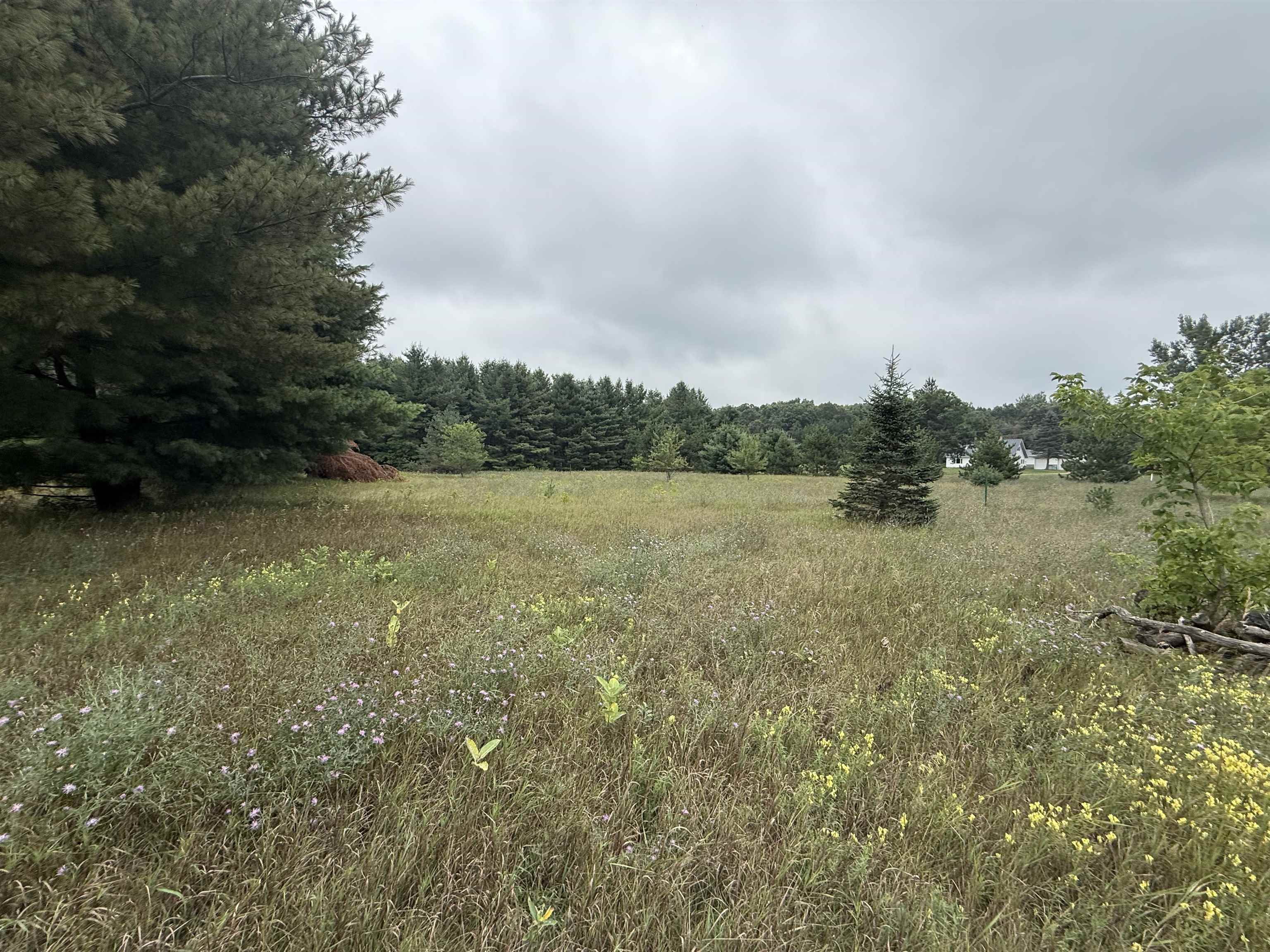 8846 COUNTY ROAD N, Almond, Wisconsin 54909, ,Land,For Sale,8846 COUNTY ROAD N,22603928