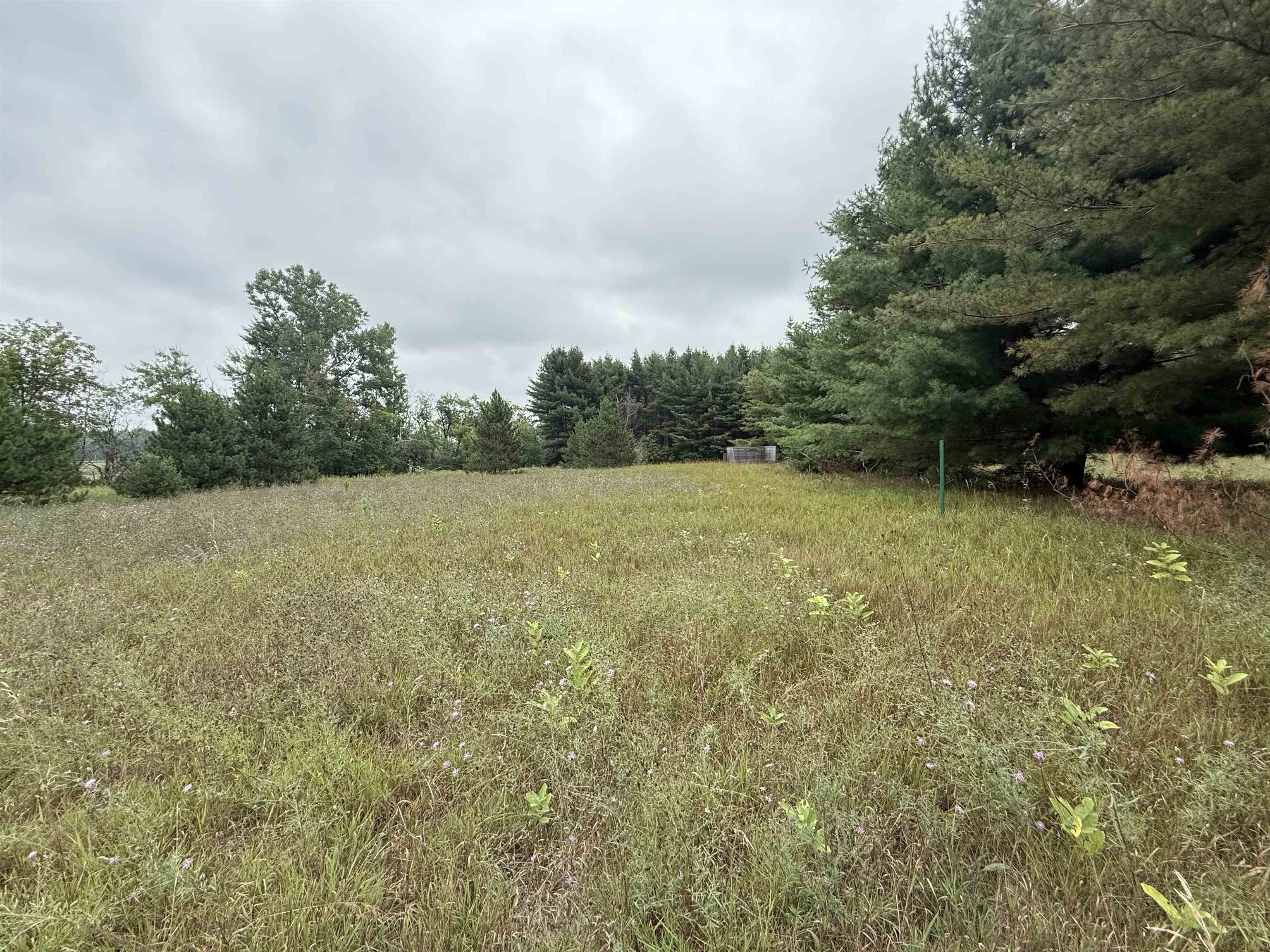 8846 COUNTY ROAD N, Almond, Wisconsin 54909, ,Land,For Sale,8846 COUNTY ROAD N,22603928