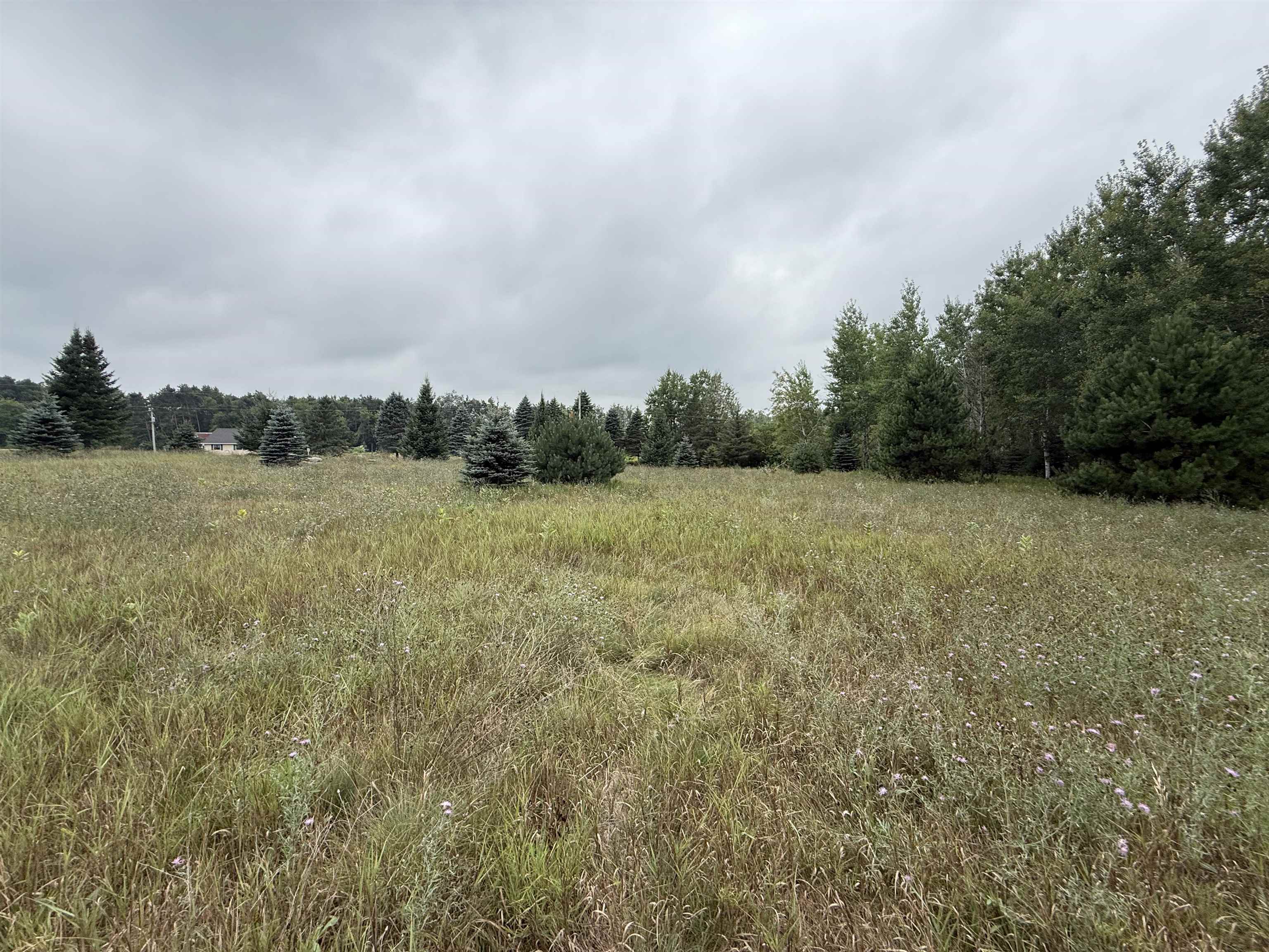 8846 COUNTY ROAD N, Almond, Wisconsin 54909, ,Land,For Sale,8846 COUNTY ROAD N,22603928