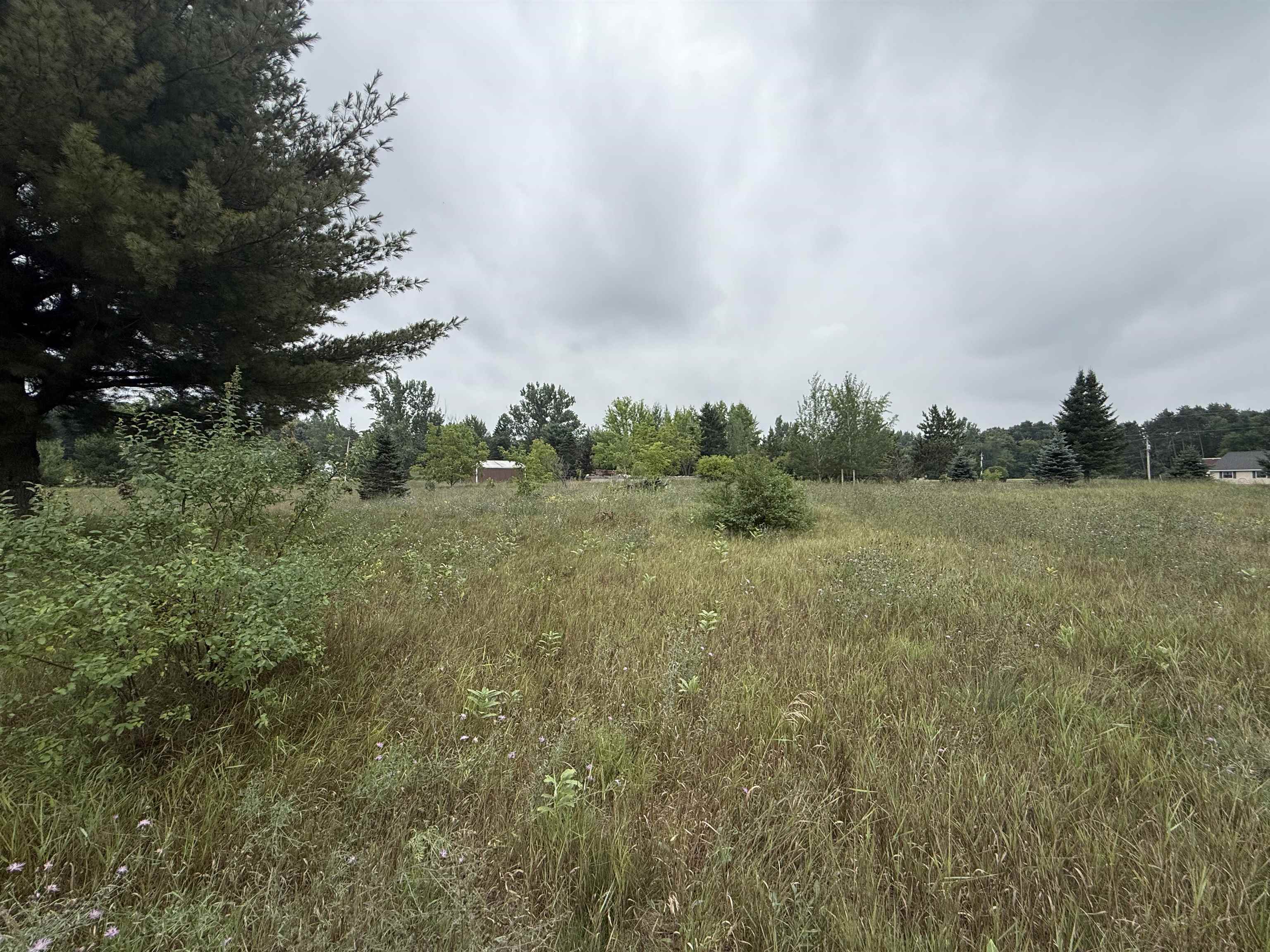8846 COUNTY ROAD N, Almond, Wisconsin 54909, ,Land,For Sale,8846 COUNTY ROAD N,22603928