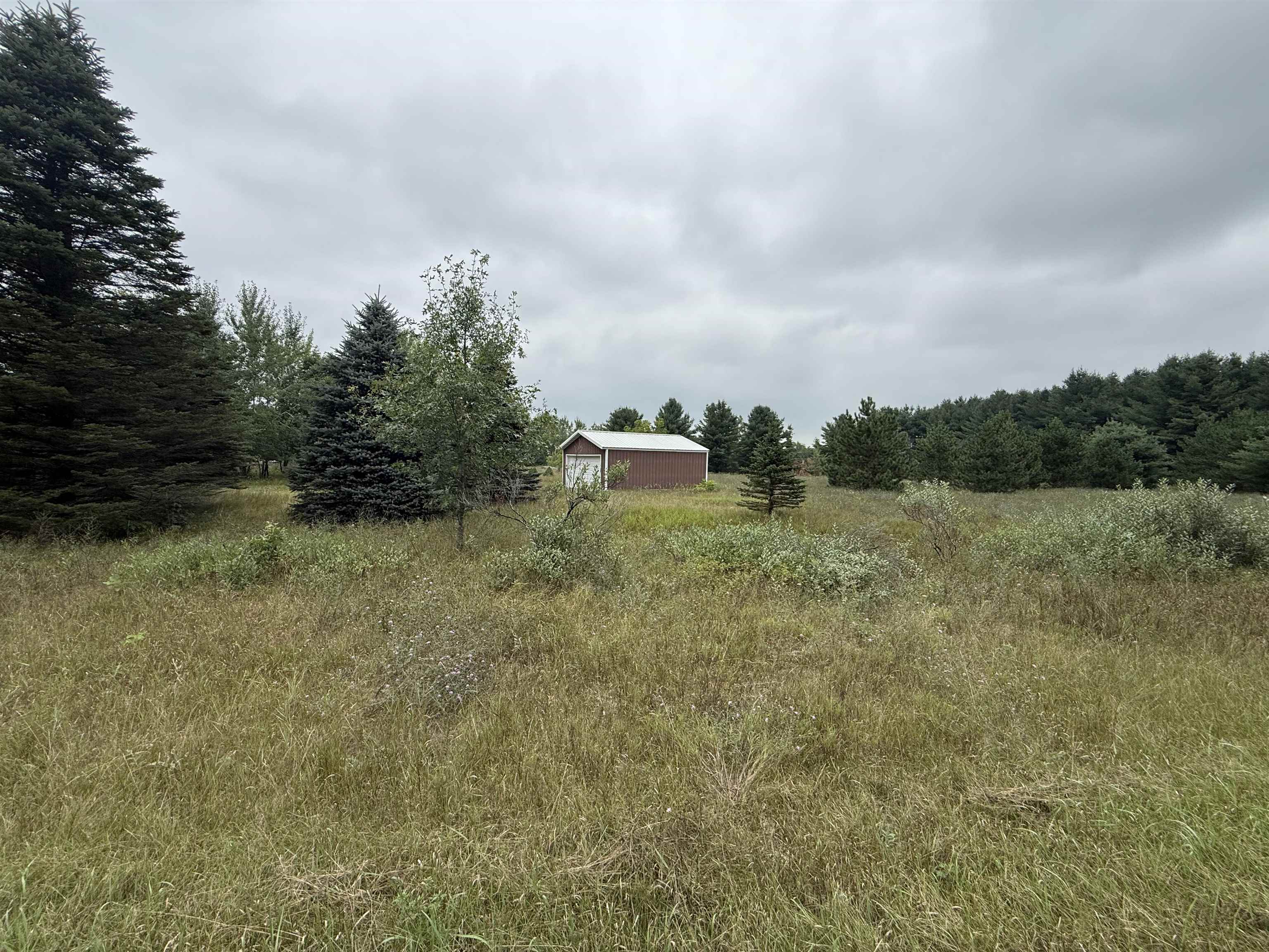 8846 COUNTY ROAD N, Almond, Wisconsin 54909, ,Land,For Sale,8846 COUNTY ROAD N,22603928