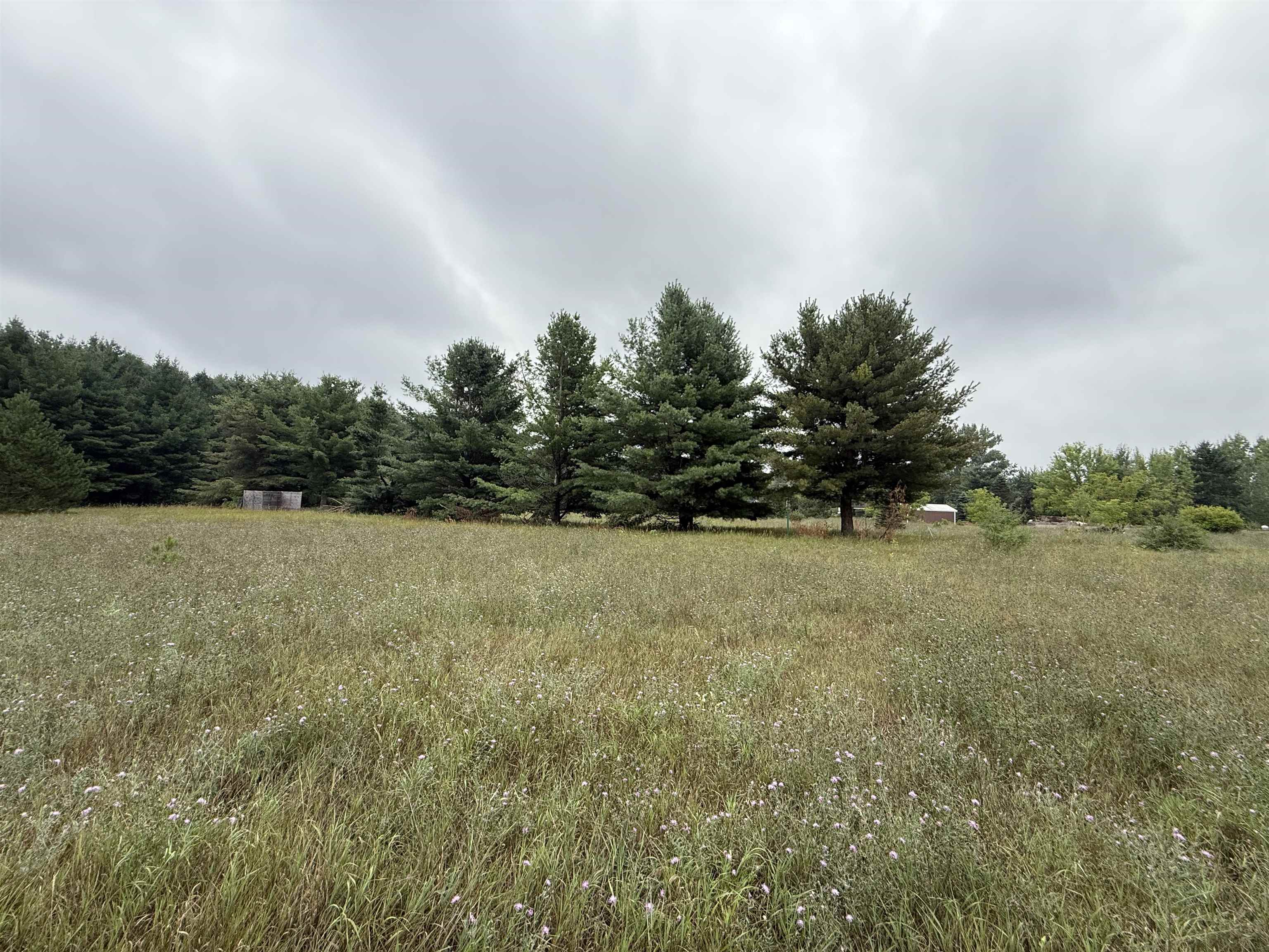 8846 COUNTY ROAD N, Almond, Wisconsin 54909, ,Land,For Sale,8846 COUNTY ROAD N,22603928