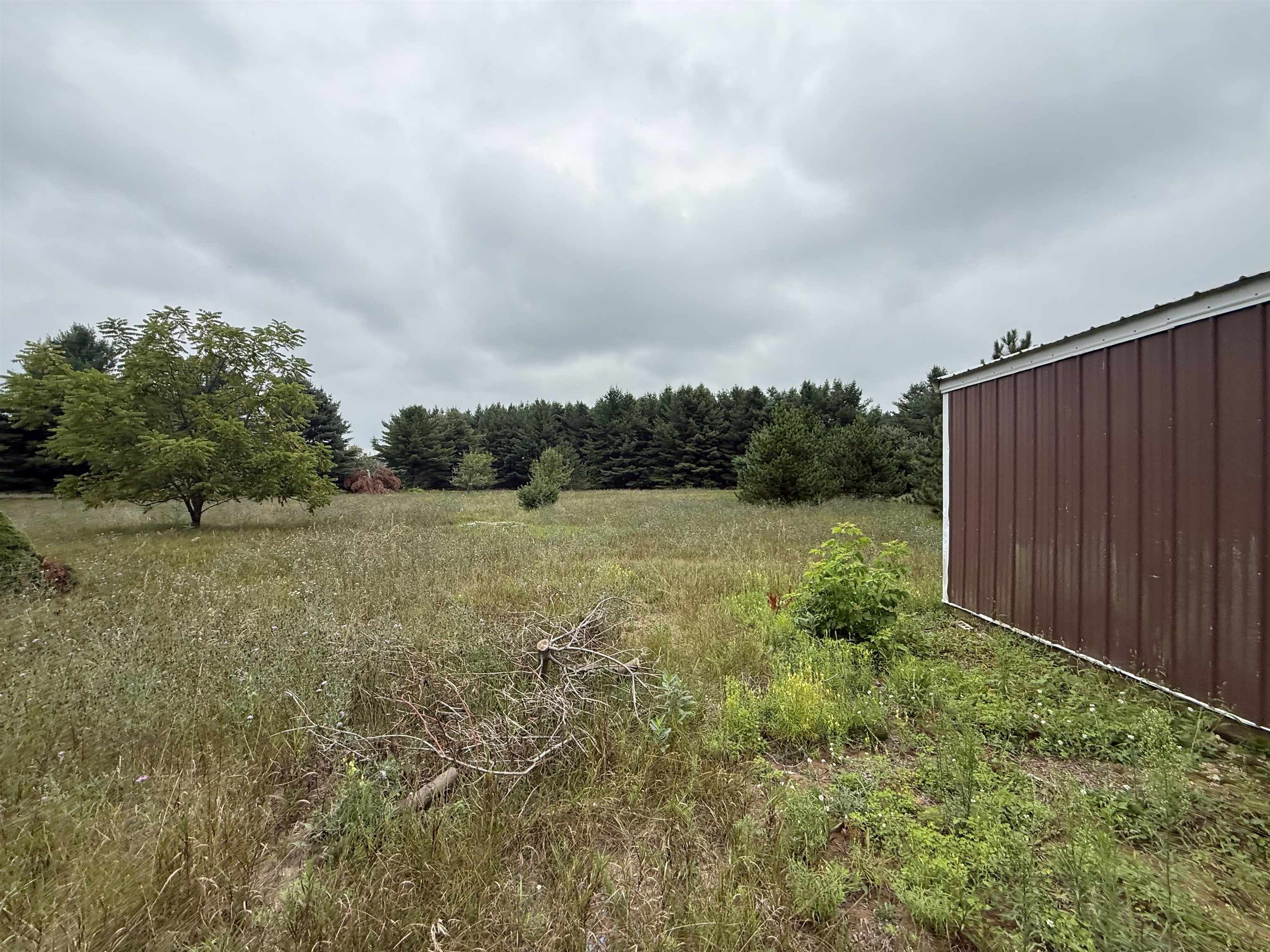 8846 COUNTY ROAD N, Almond, Wisconsin 54909, ,Land,For Sale,8846 COUNTY ROAD N,22603928