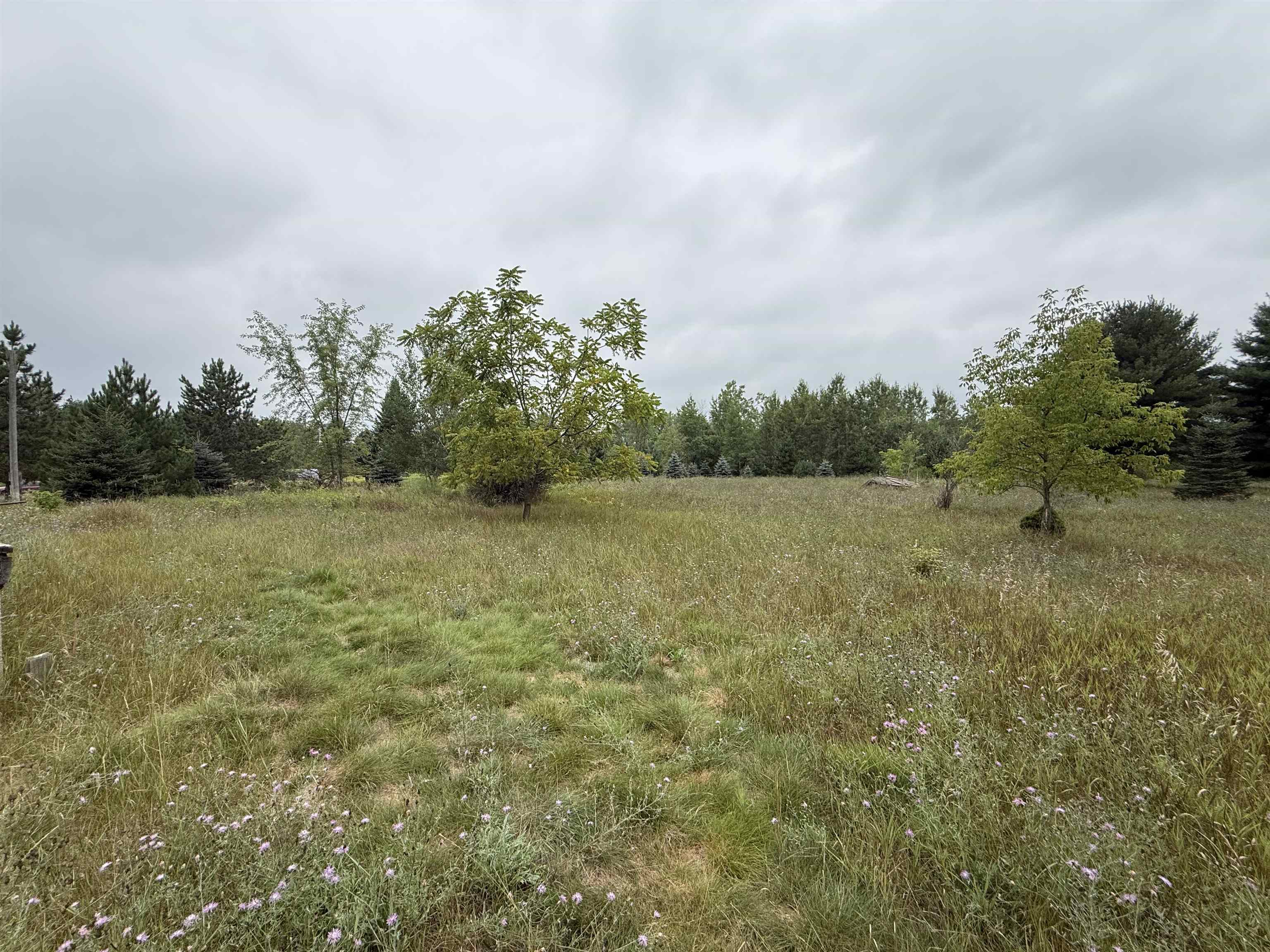 8846 COUNTY ROAD N, Almond, Wisconsin 54909, ,Land,For Sale,8846 COUNTY ROAD N,22603928