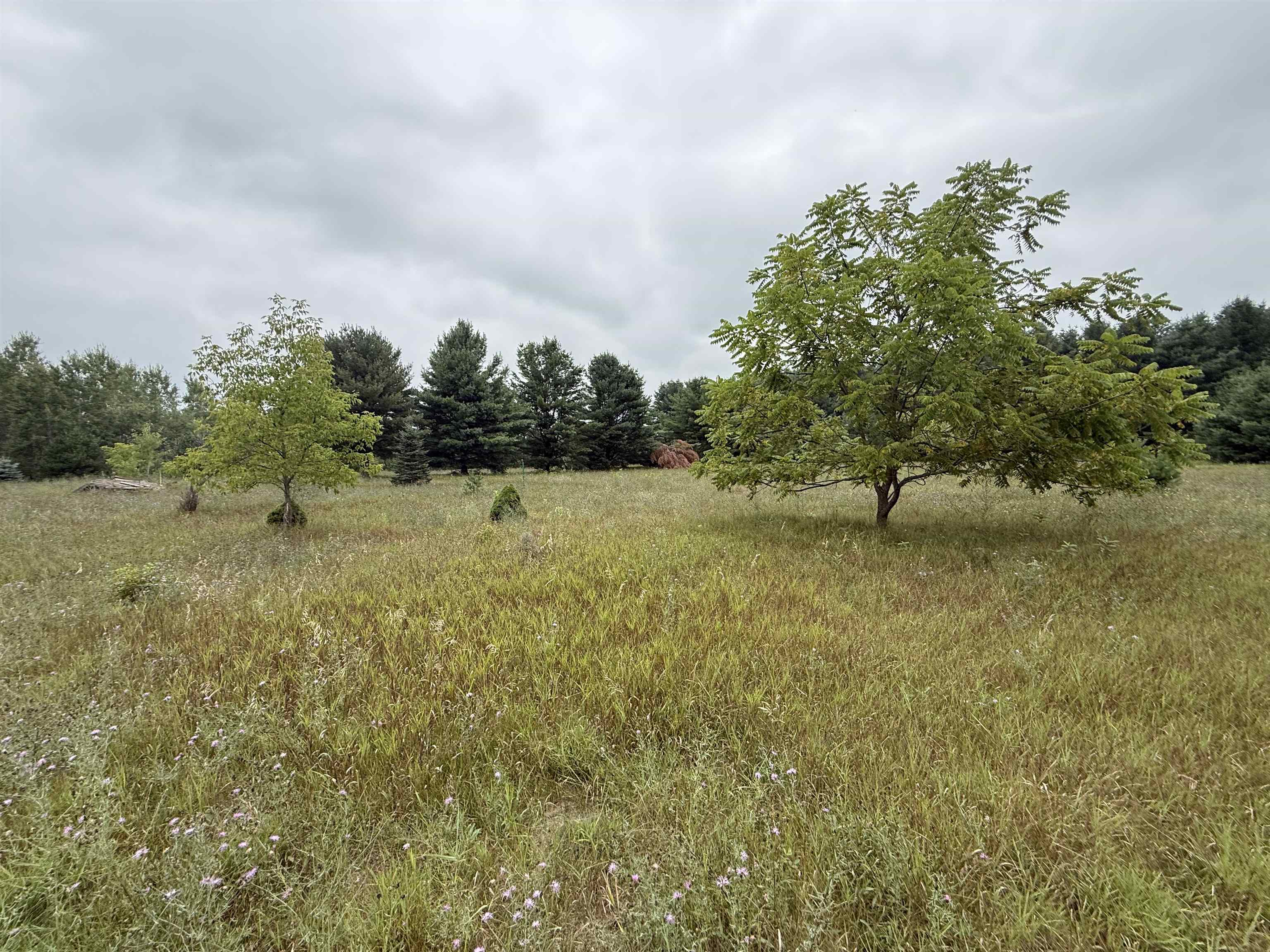 8846 COUNTY ROAD N, Almond, Wisconsin 54909, ,Land,For Sale,8846 COUNTY ROAD N,22603928