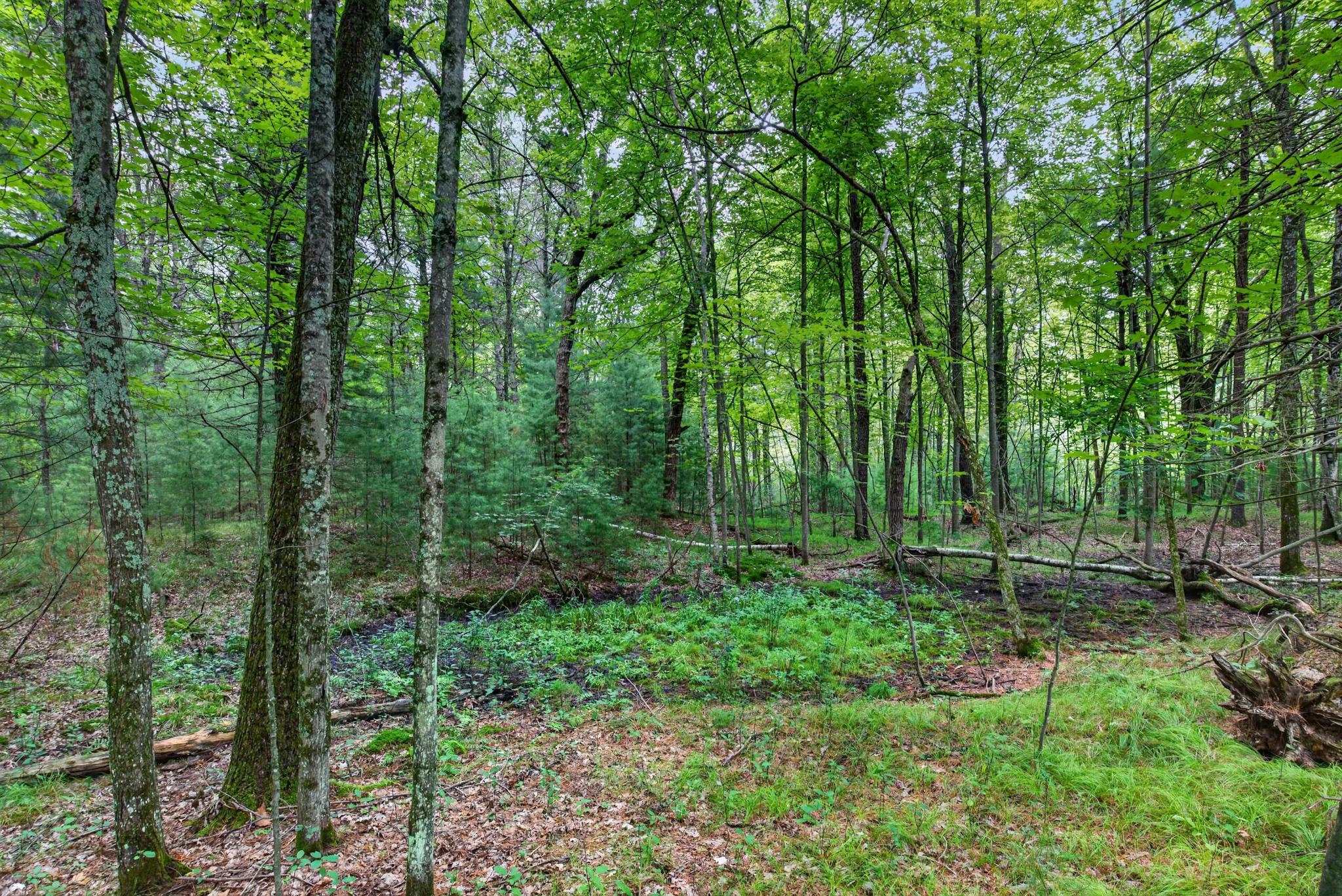 6489 48TH STREET SOUTH, Wisconsin Rapids, Wisconsin 54494, ,Land,For Sale,6489 48TH STREET SOUTH,22603935