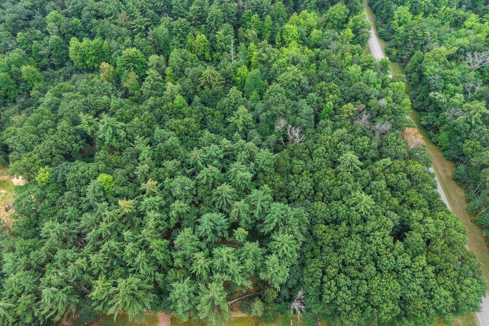 6489 48TH STREET SOUTH, Wisconsin Rapids, Wisconsin 54494, ,Land,For Sale,6489 48TH STREET SOUTH,22603935