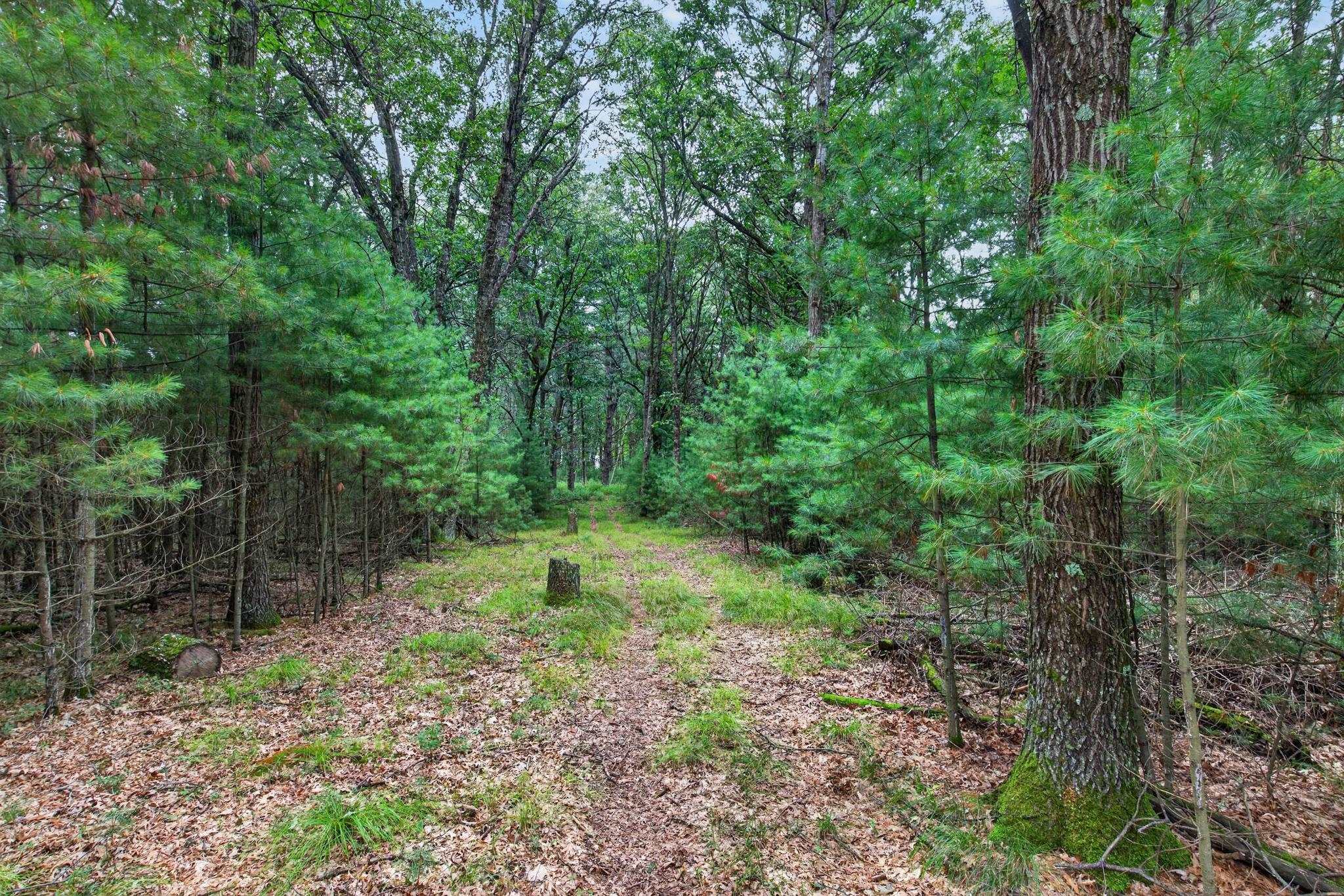 6489 48TH STREET SOUTH, Wisconsin Rapids, Wisconsin 54494, ,Land,For Sale,6489 48TH STREET SOUTH,22603935