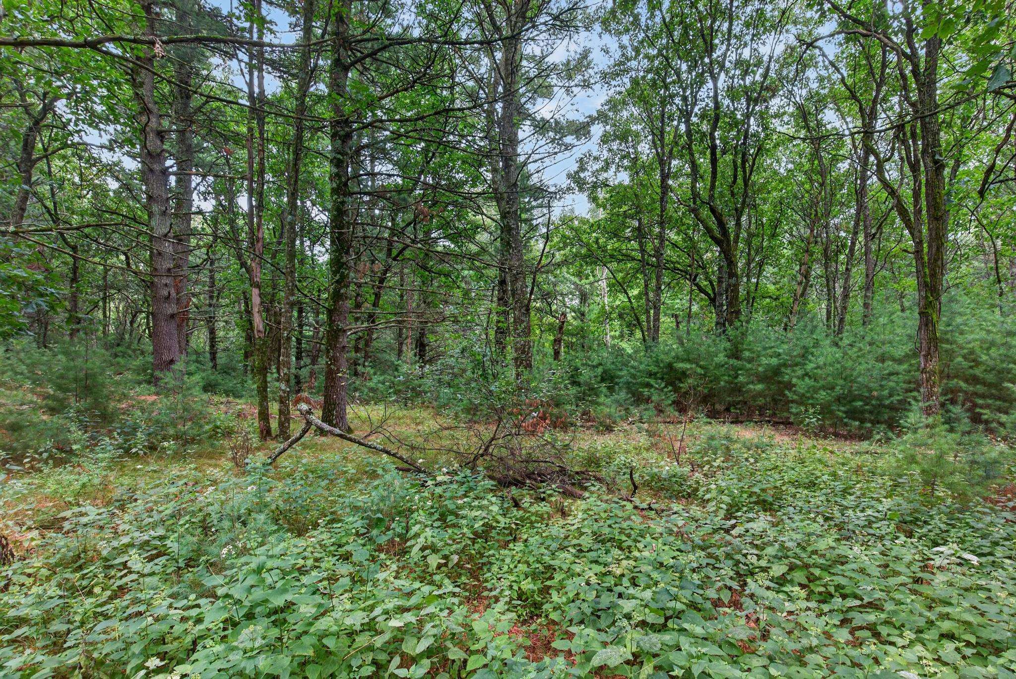 6489 48TH STREET SOUTH, Wisconsin Rapids, Wisconsin 54494, ,Land,For Sale,6489 48TH STREET SOUTH,22603935