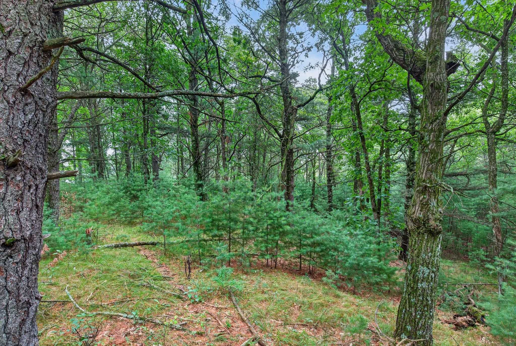 6489 48TH STREET SOUTH, Wisconsin Rapids, Wisconsin 54494, ,Land,For Sale,6489 48TH STREET SOUTH,22603935