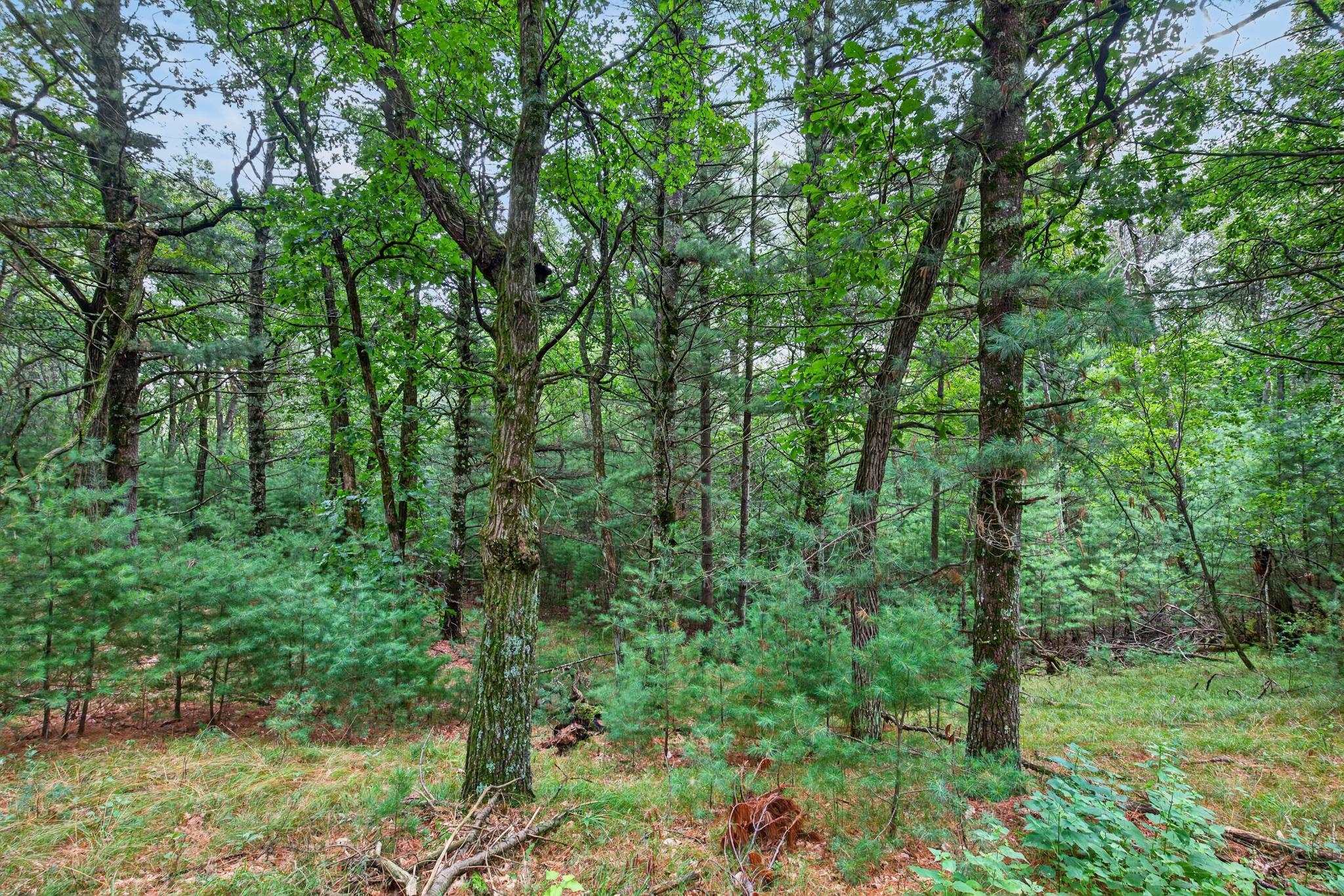 6489 48TH STREET SOUTH, Wisconsin Rapids, Wisconsin 54494, ,Land,For Sale,6489 48TH STREET SOUTH,22603935