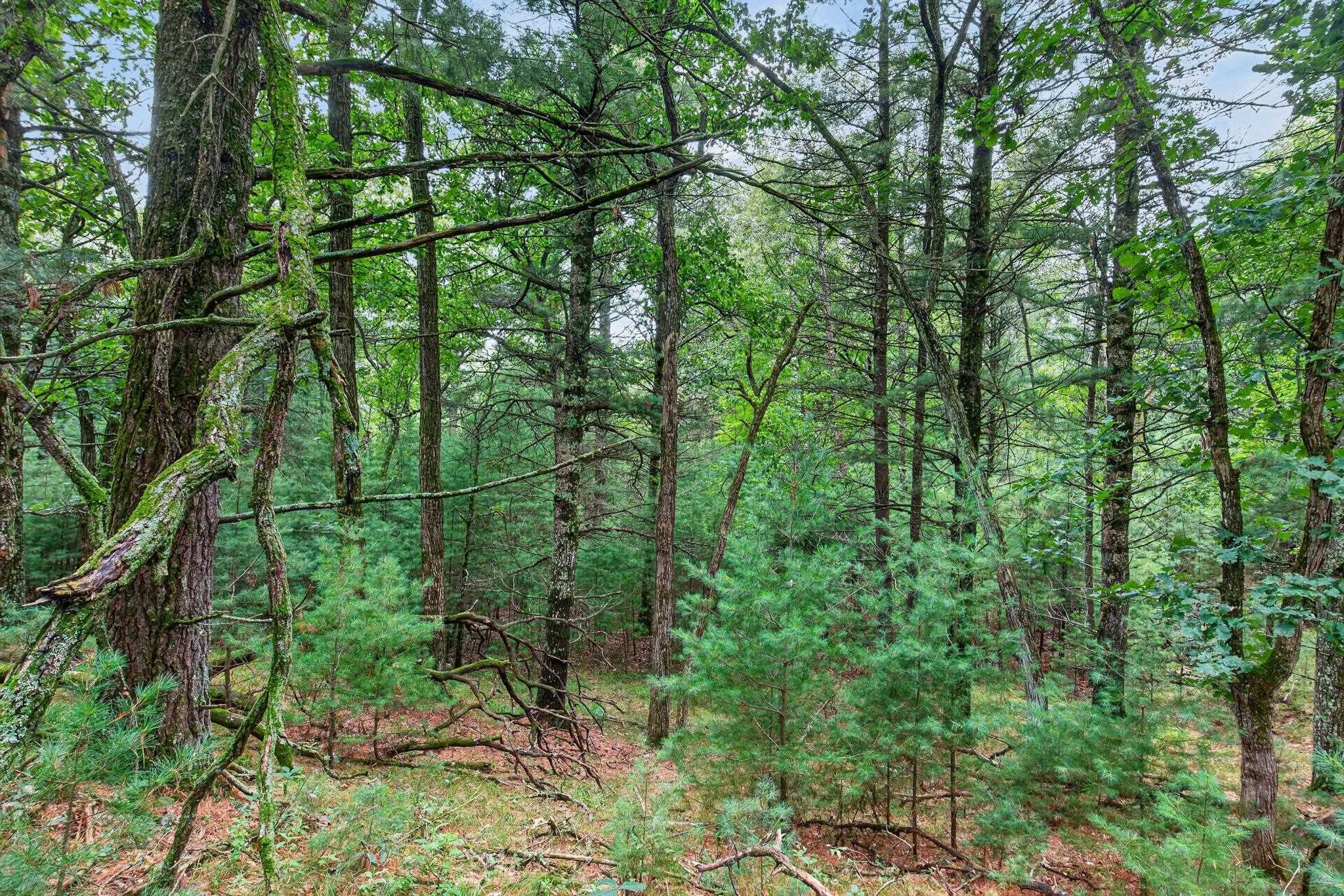 6489 48TH STREET SOUTH, Wisconsin Rapids, Wisconsin 54494, ,Land,For Sale,6489 48TH STREET SOUTH,22603935