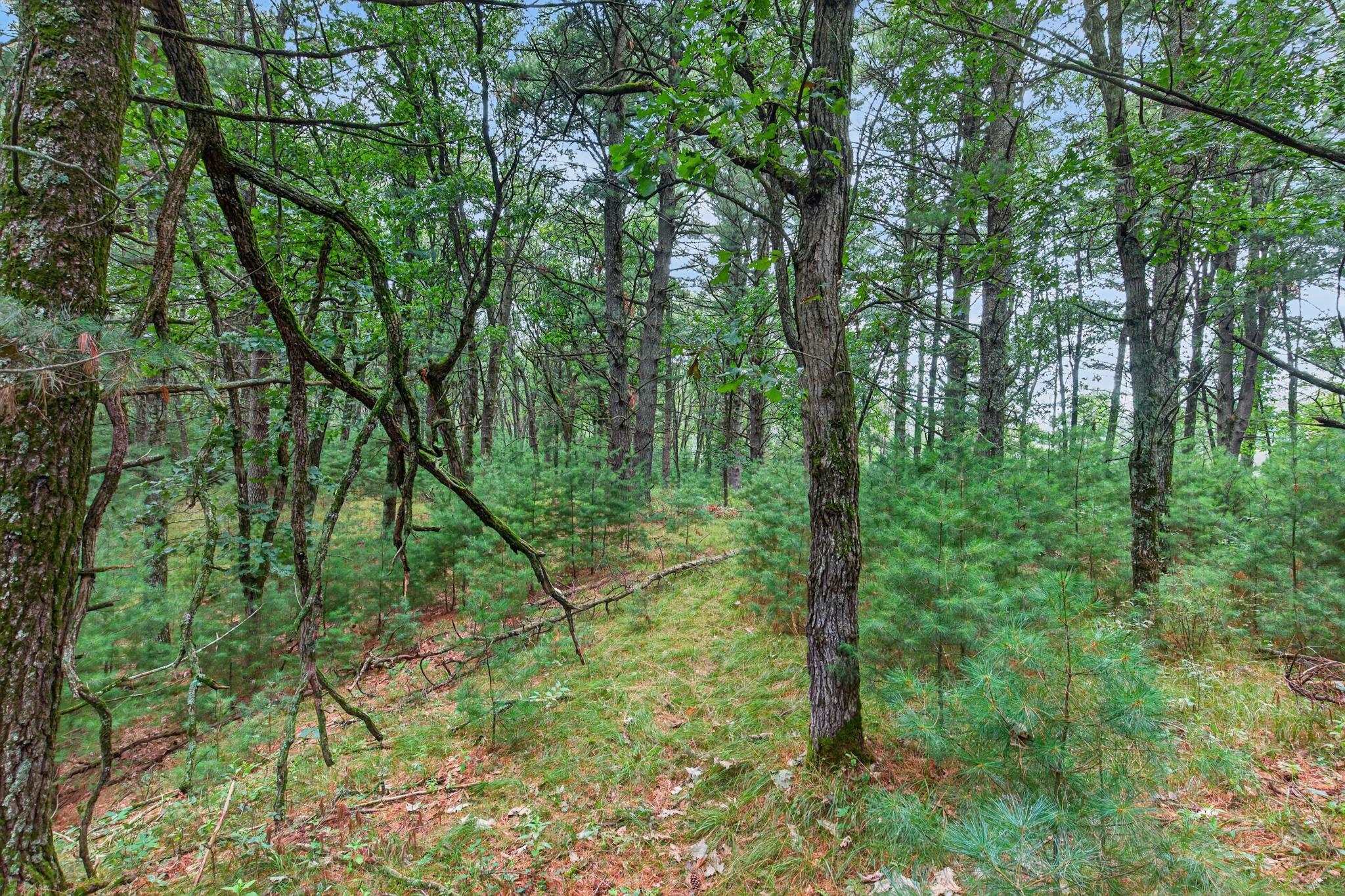 6489 48TH STREET SOUTH, Wisconsin Rapids, Wisconsin 54494, ,Land,For Sale,6489 48TH STREET SOUTH,22603935