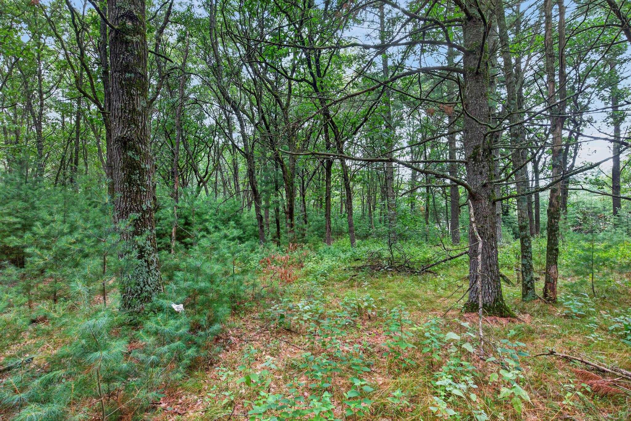 6489 48TH STREET SOUTH, Wisconsin Rapids, Wisconsin 54494, ,Land,For Sale,6489 48TH STREET SOUTH,22603935