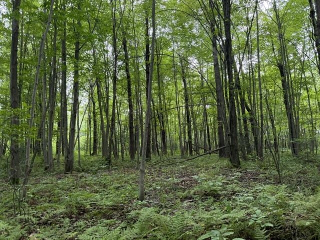 3319 NORTH ROAD, Kronenwetter, Wisconsin 54455, 4 Bedrooms Bedrooms, ,4 BathroomsBathrooms,Residential,For Sale,3319 NORTH ROAD,22603951