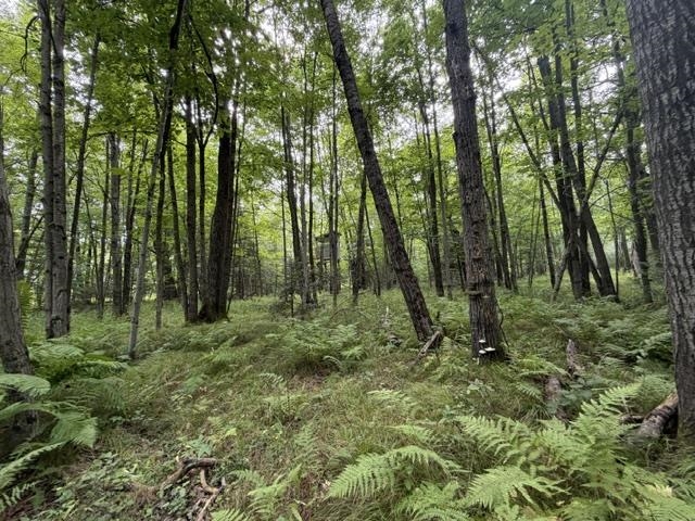 3319 NORTH ROAD, Kronenwetter, Wisconsin 54455, 4 Bedrooms Bedrooms, ,4 BathroomsBathrooms,Residential,For Sale,3319 NORTH ROAD,22603951