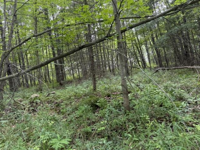 3319 NORTH ROAD, Kronenwetter, Wisconsin 54455, 4 Bedrooms Bedrooms, ,4 BathroomsBathrooms,Residential,For Sale,3319 NORTH ROAD,22603951
