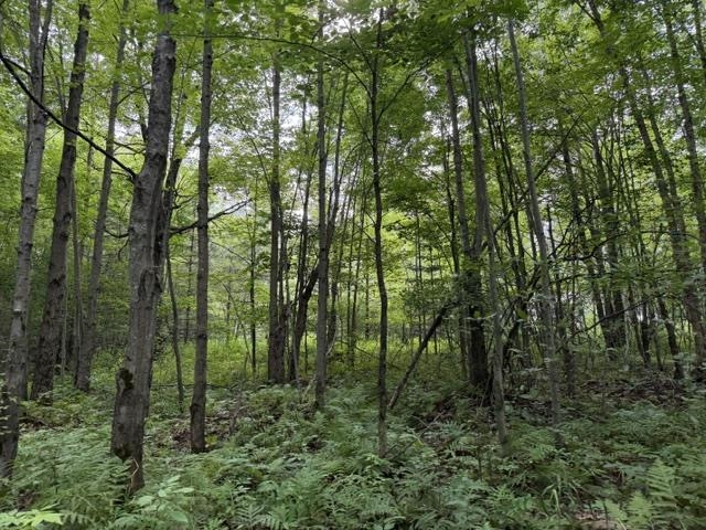 3319 NORTH ROAD, Kronenwetter, Wisconsin 54455, 4 Bedrooms Bedrooms, ,4 BathroomsBathrooms,Residential,For Sale,3319 NORTH ROAD,22603951