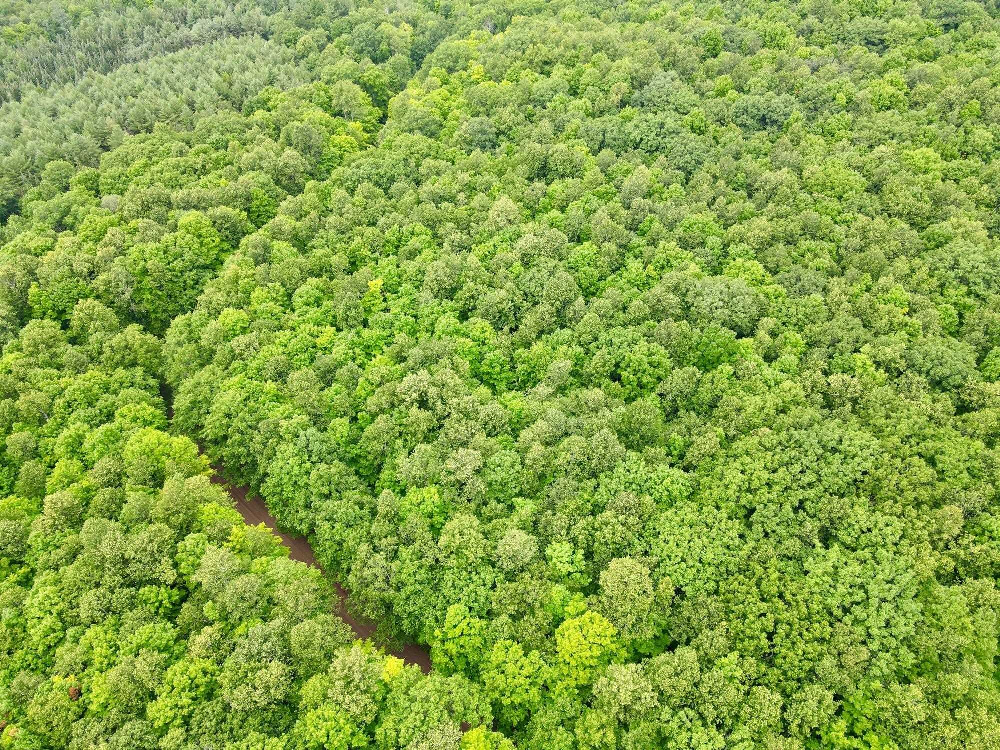 Lot 1 CRANE FOOT LAKE ROAD, Gleason, Wisconsin 54435, ,Land,For Sale,Lot 1 CRANE FOOT LAKE ROAD,22603952
