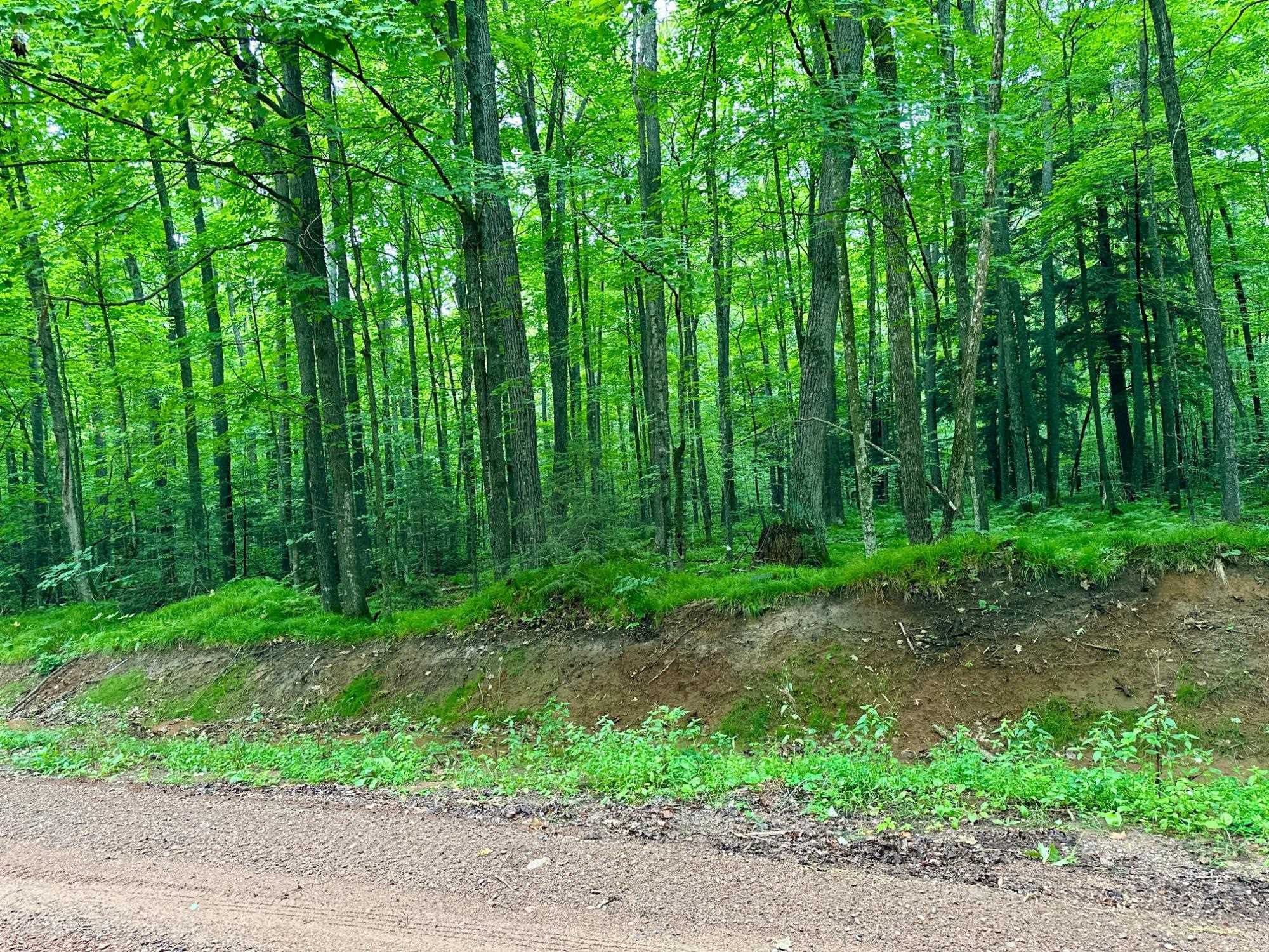 Lot 1 CRANE FOOT LAKE ROAD, Gleason, Wisconsin 54435, ,Land,For Sale,Lot 1 CRANE FOOT LAKE ROAD,22603952