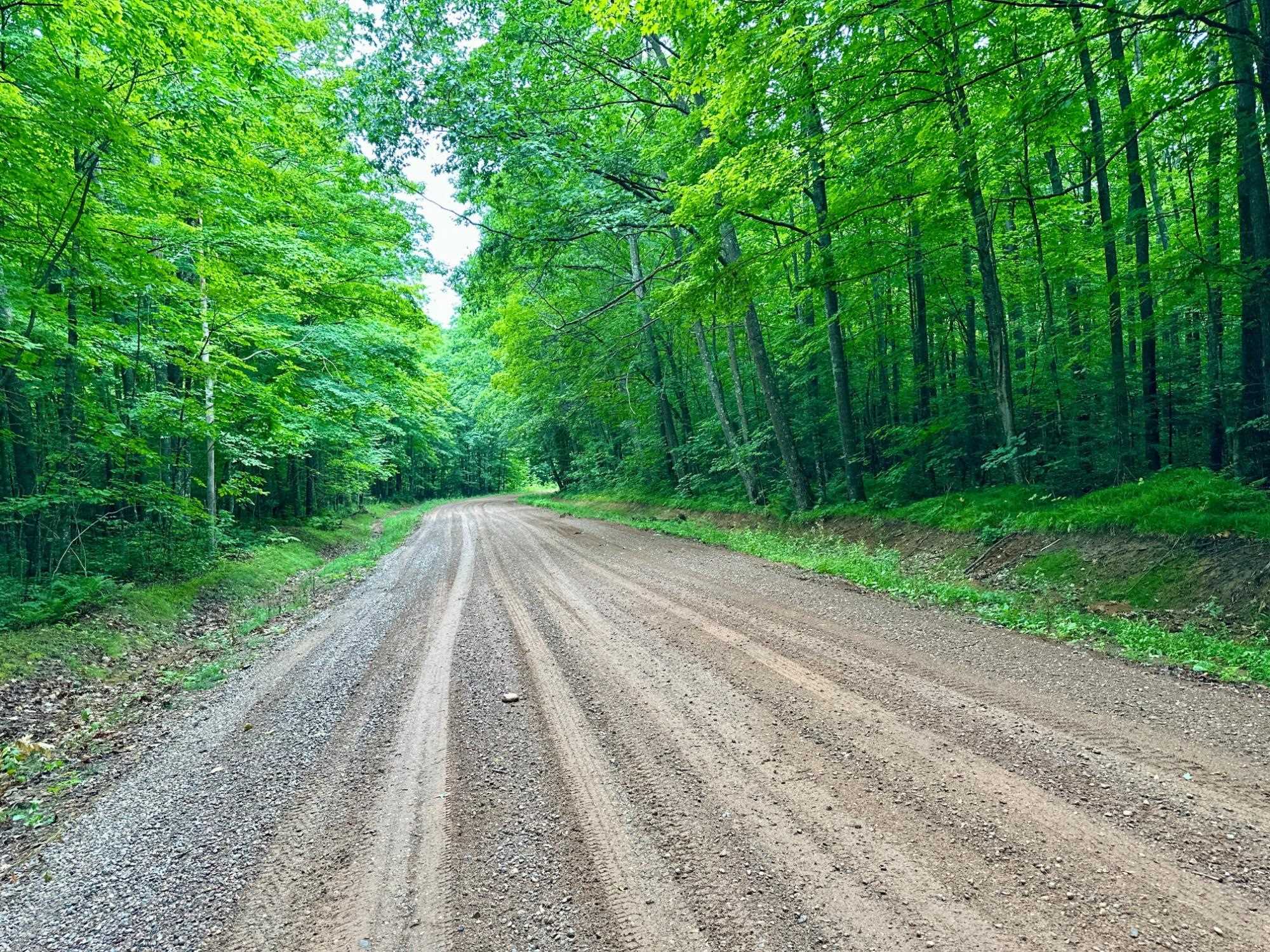 Lot 1 CRANE FOOT LAKE ROAD, Gleason, Wisconsin 54435, ,Land,For Sale,Lot 1 CRANE FOOT LAKE ROAD,22603952