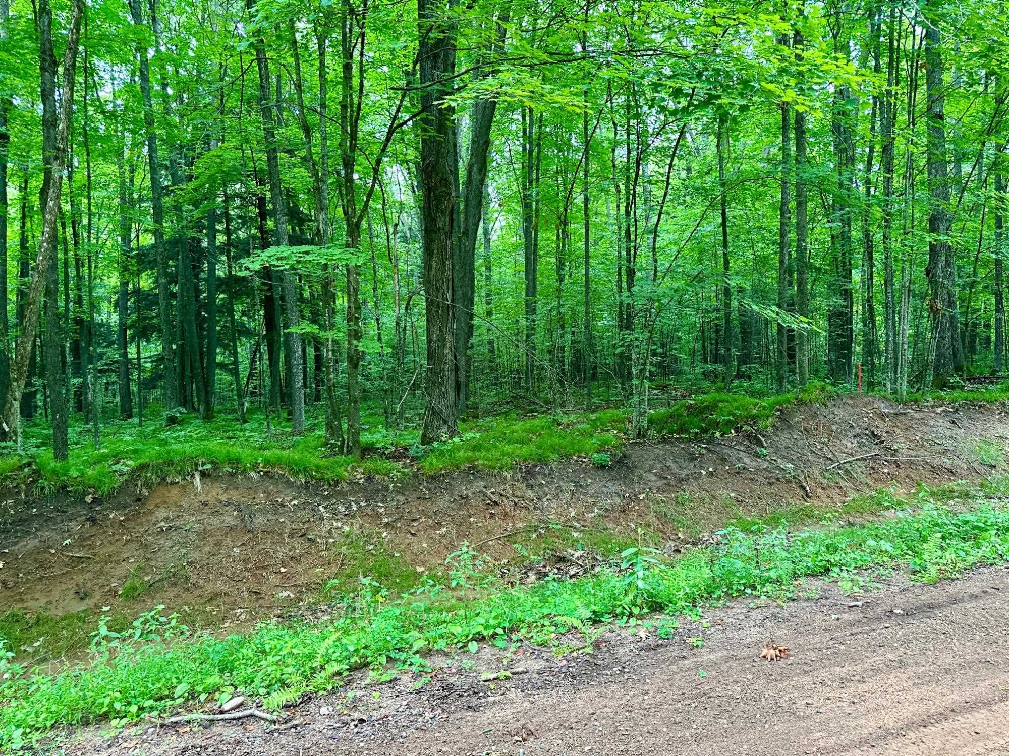 Lot 1 CRANE FOOT LAKE ROAD, Gleason, Wisconsin 54435, ,Land,For Sale,Lot 1 CRANE FOOT LAKE ROAD,22603952