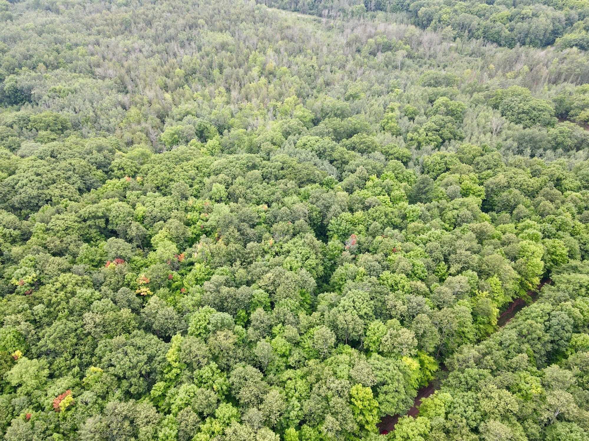 Lot 2 CRANE FOOT LAKE ROAD, Gleason, Wisconsin 54435, ,Land,For Sale,Lot 2 CRANE FOOT LAKE ROAD,22603953