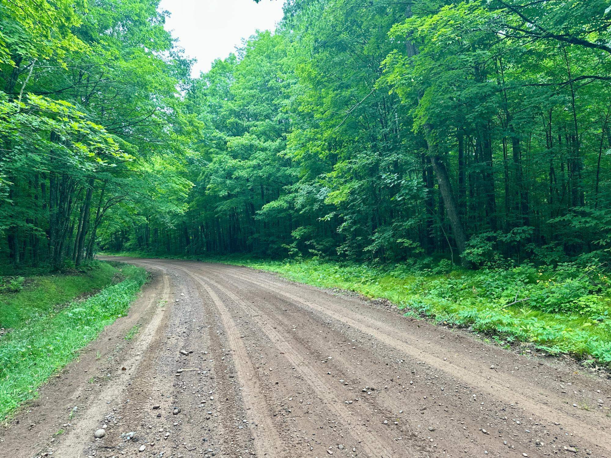 Lot 2 CRANE FOOT LAKE ROAD, Gleason, Wisconsin 54435, ,Land,For Sale,Lot 2 CRANE FOOT LAKE ROAD,22603953