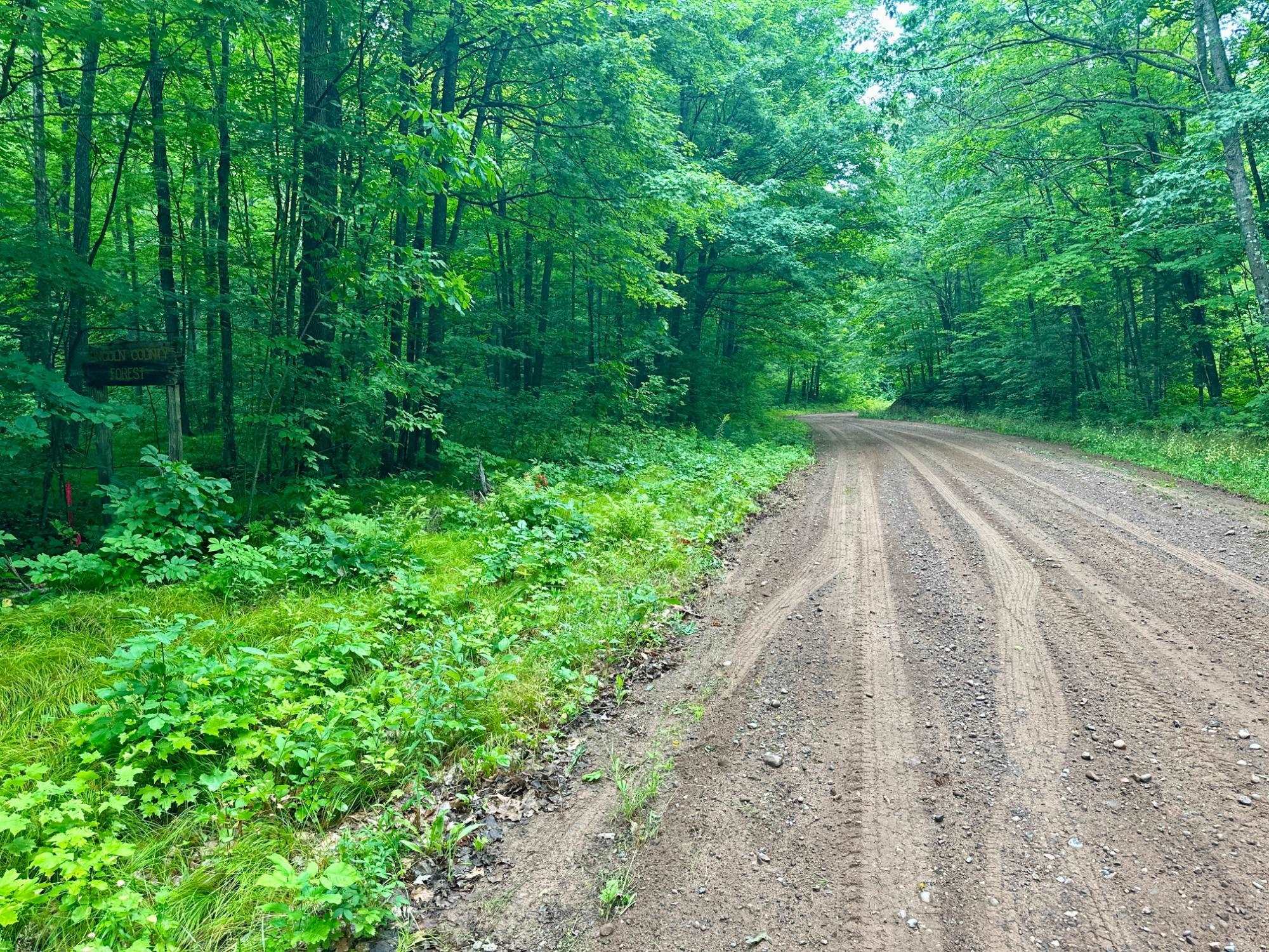 Lot 2 CRANE FOOT LAKE ROAD, Gleason, Wisconsin 54435, ,Land,For Sale,Lot 2 CRANE FOOT LAKE ROAD,22603953