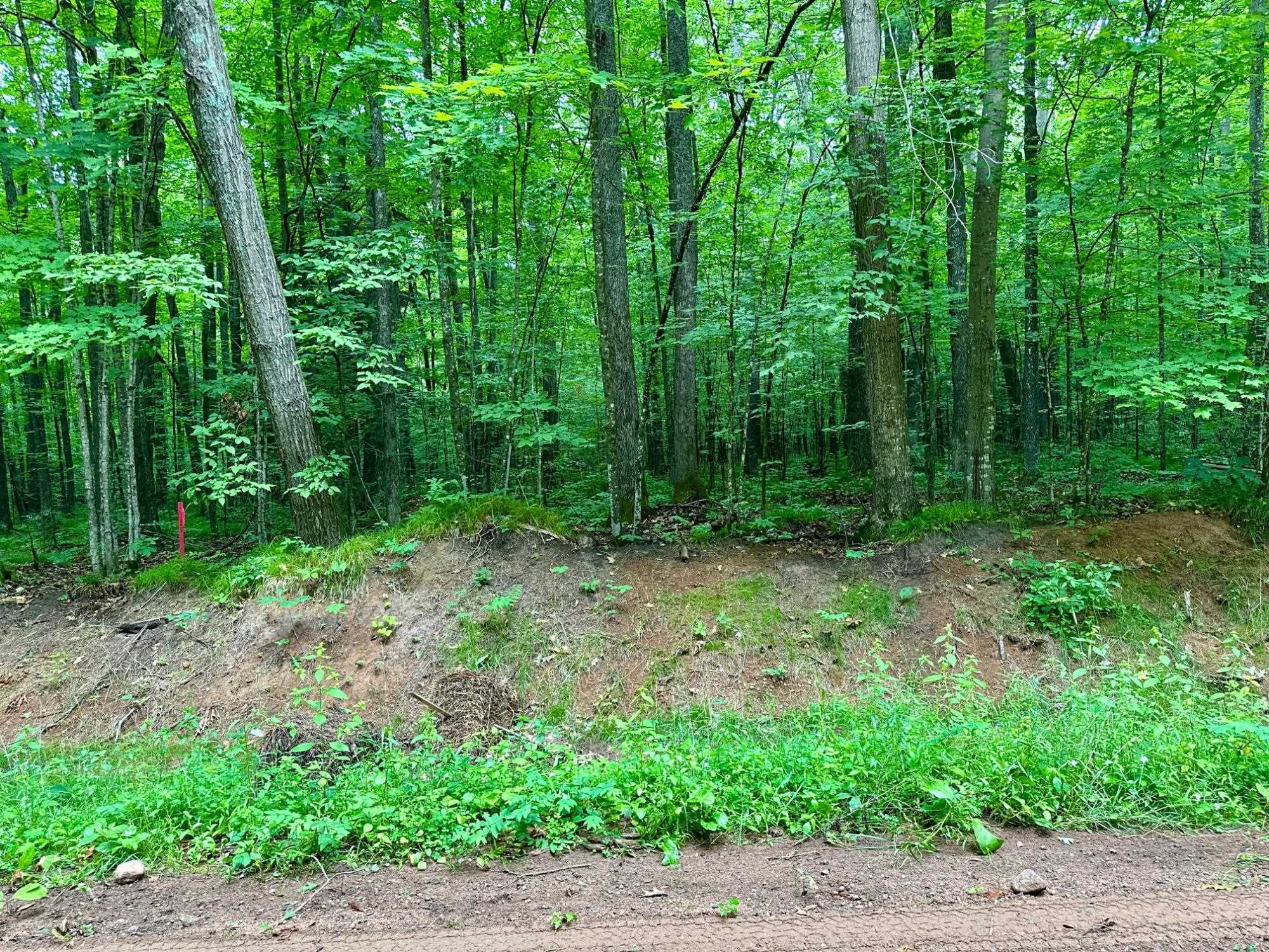 Lot 2 CRANE FOOT LAKE ROAD, Gleason, Wisconsin 54435, ,Land,For Sale,Lot 2 CRANE FOOT LAKE ROAD,22603953