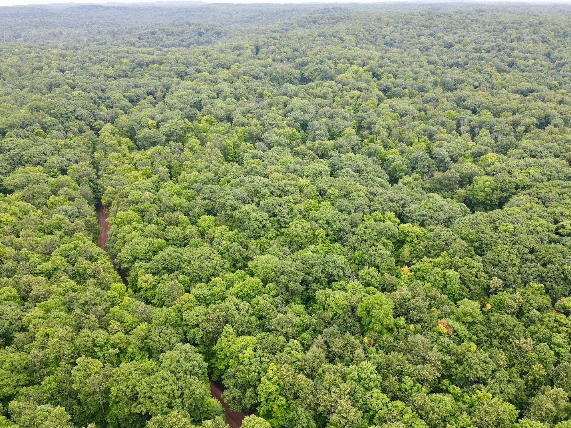 Lot 3 CRANE FOOT LAKE ROAD, Gleason, Wisconsin 54435, ,Land,For Sale,Lot 3 CRANE FOOT LAKE ROAD,22603954