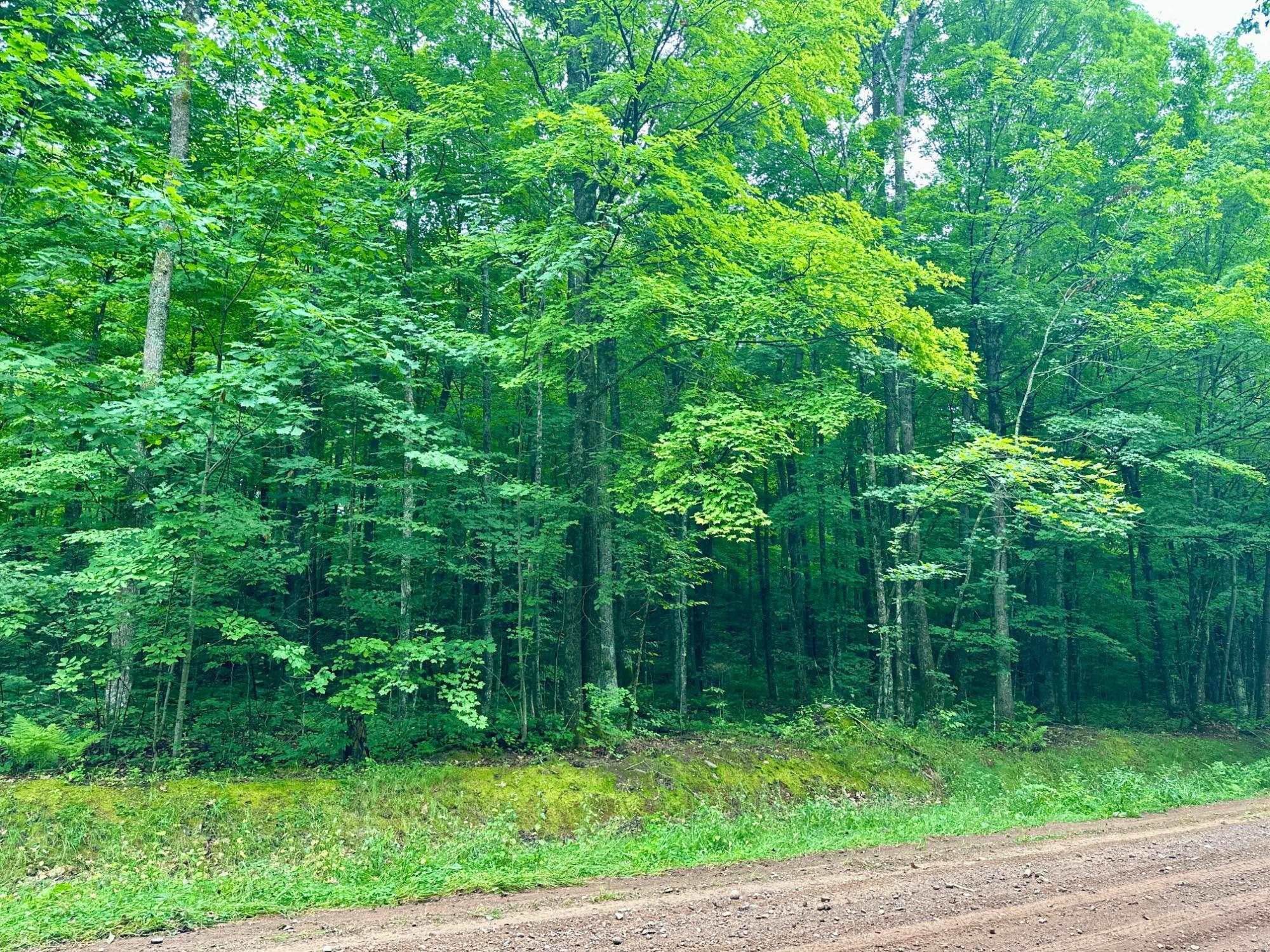 Lot 3 CRANE FOOT LAKE ROAD, Gleason, Wisconsin 54435, ,Land,For Sale,Lot 3 CRANE FOOT LAKE ROAD,22603954