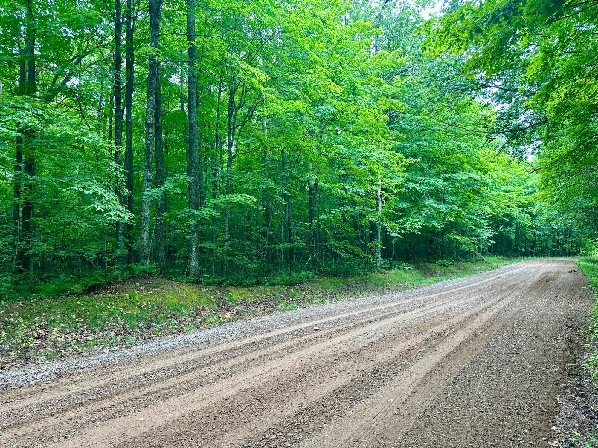 Lot 3 CRANE FOOT LAKE ROAD, Gleason, Wisconsin 54435, ,Land,For Sale,Lot 3 CRANE FOOT LAKE ROAD,22603954