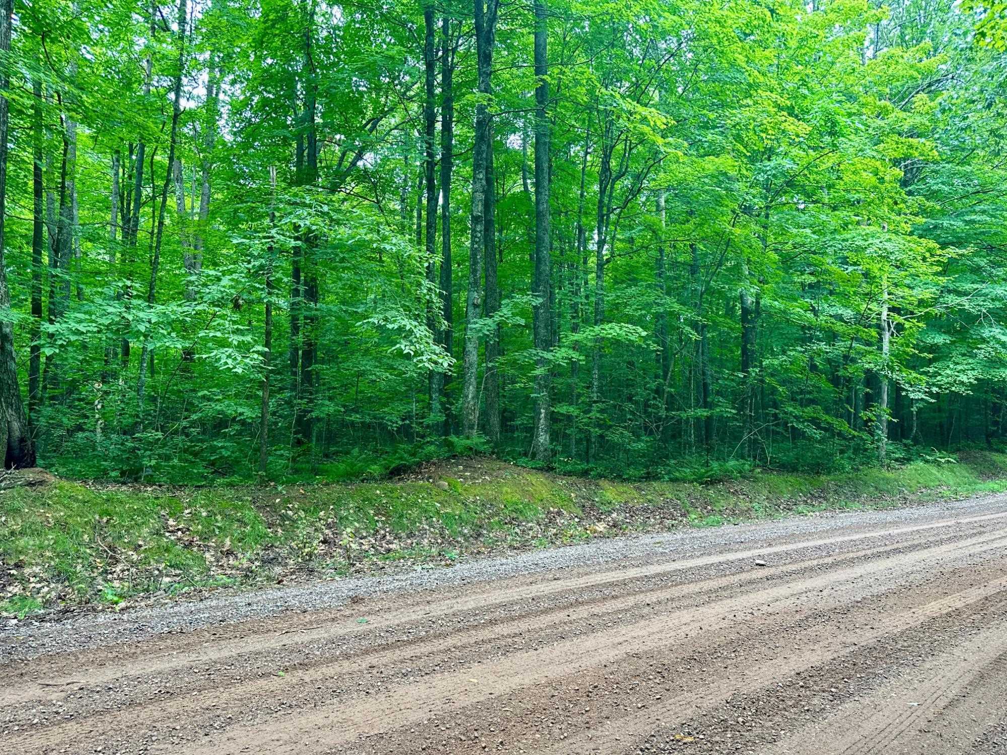 Lot 3 CRANE FOOT LAKE ROAD, Gleason, Wisconsin 54435, ,Land,For Sale,Lot 3 CRANE FOOT LAKE ROAD,22603954