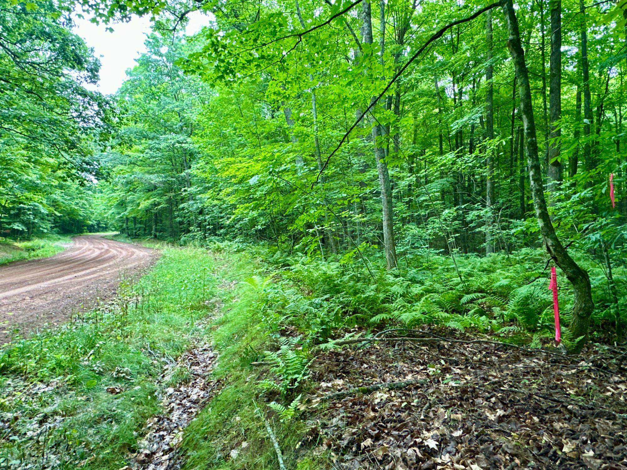 Lot 4 CRANE FOOT LAKE ROAD, Gleason, Wisconsin 54435, ,Land,For Sale,Lot 4 CRANE FOOT LAKE ROAD,22603955