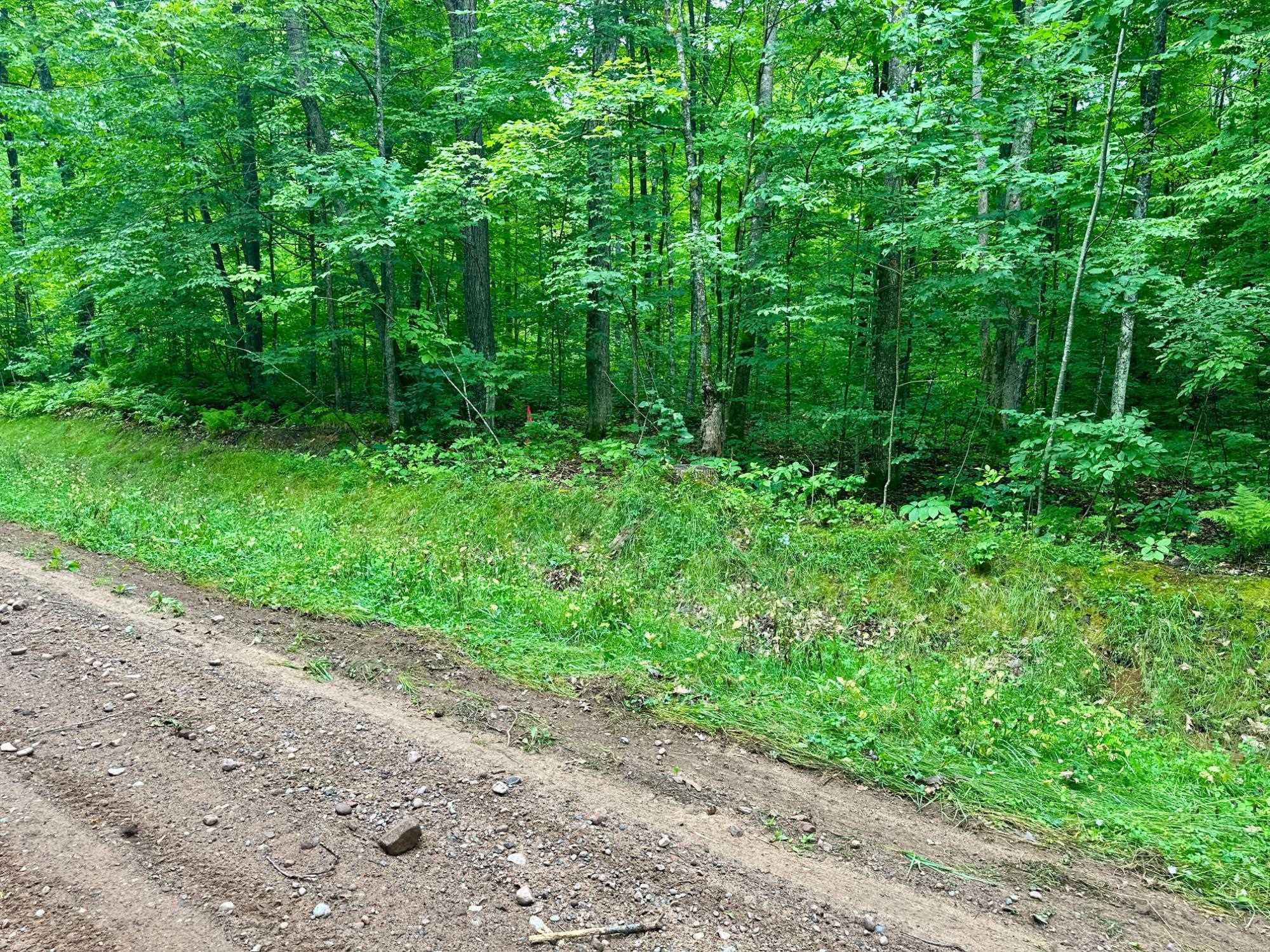 Lot 4 CRANE FOOT LAKE ROAD, Gleason, Wisconsin 54435, ,Land,For Sale,Lot 4 CRANE FOOT LAKE ROAD,22603955