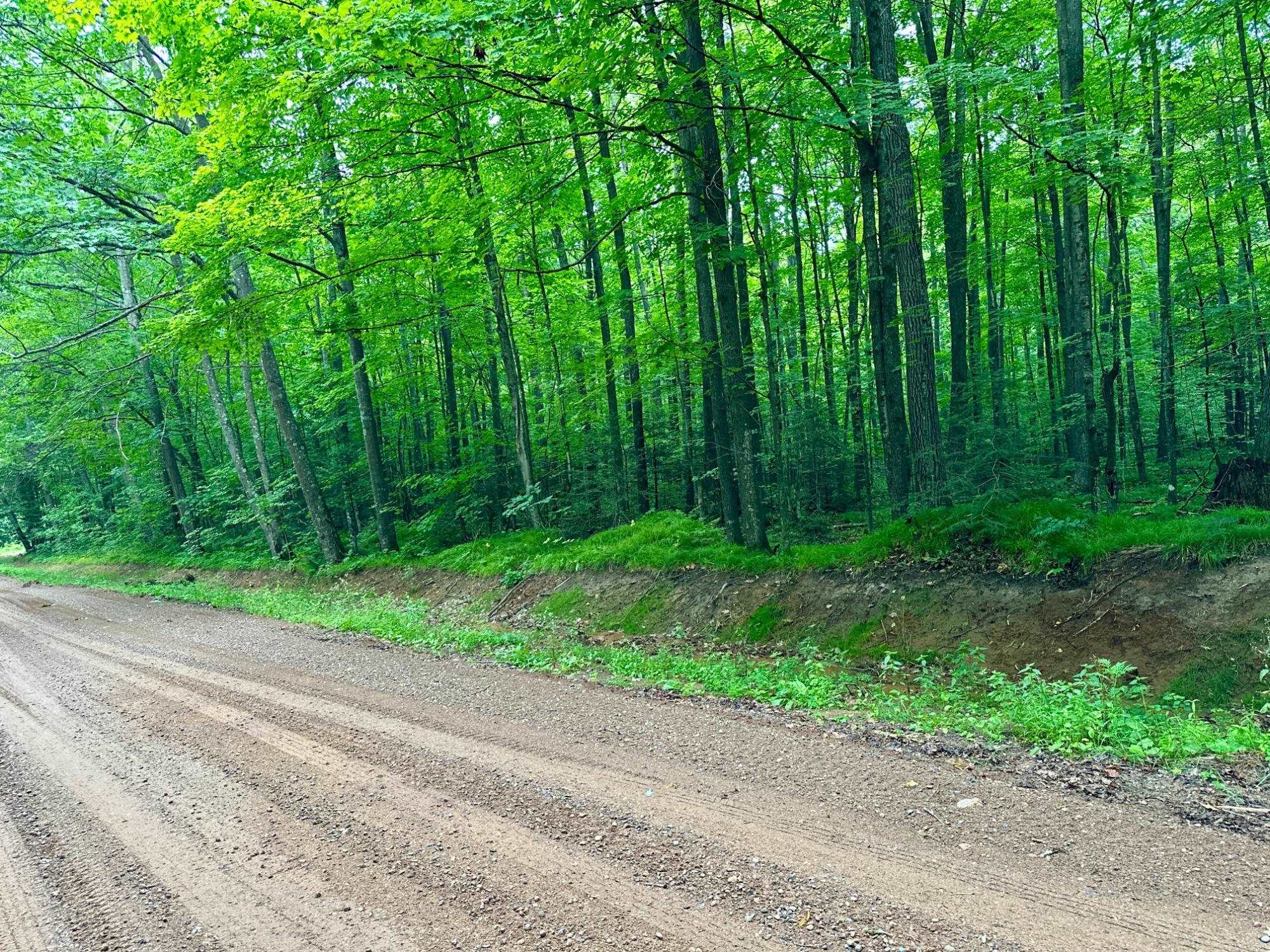 Lot 4 CRANE FOOT LAKE ROAD, Gleason, Wisconsin 54435, ,Land,For Sale,Lot 4 CRANE FOOT LAKE ROAD,22603955