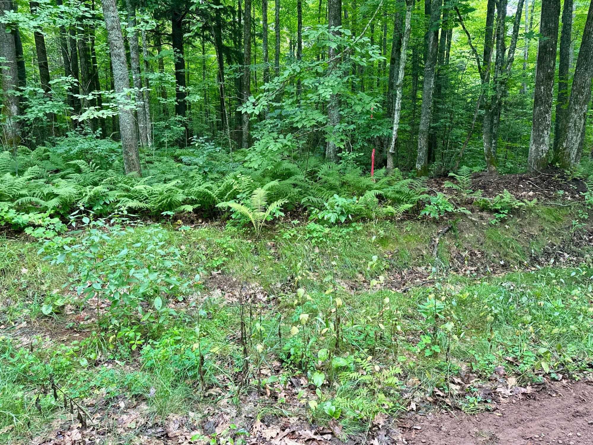 Lot 4 CRANE FOOT LAKE ROAD, Gleason, Wisconsin 54435, ,Land,For Sale,Lot 4 CRANE FOOT LAKE ROAD,22603955