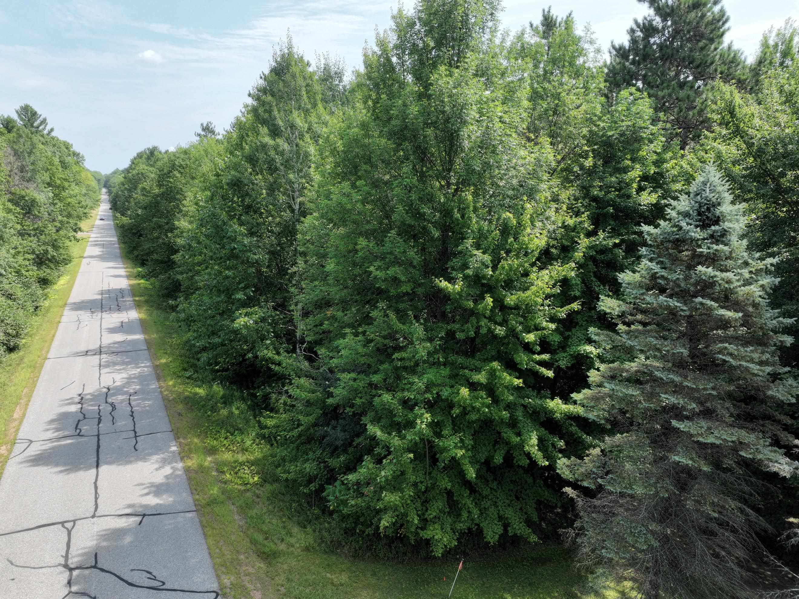 Lot 12 BURMA ROAD, Mosinee, Wisconsin 54455, ,Land,For Sale,Lot 12 BURMA ROAD,22603959